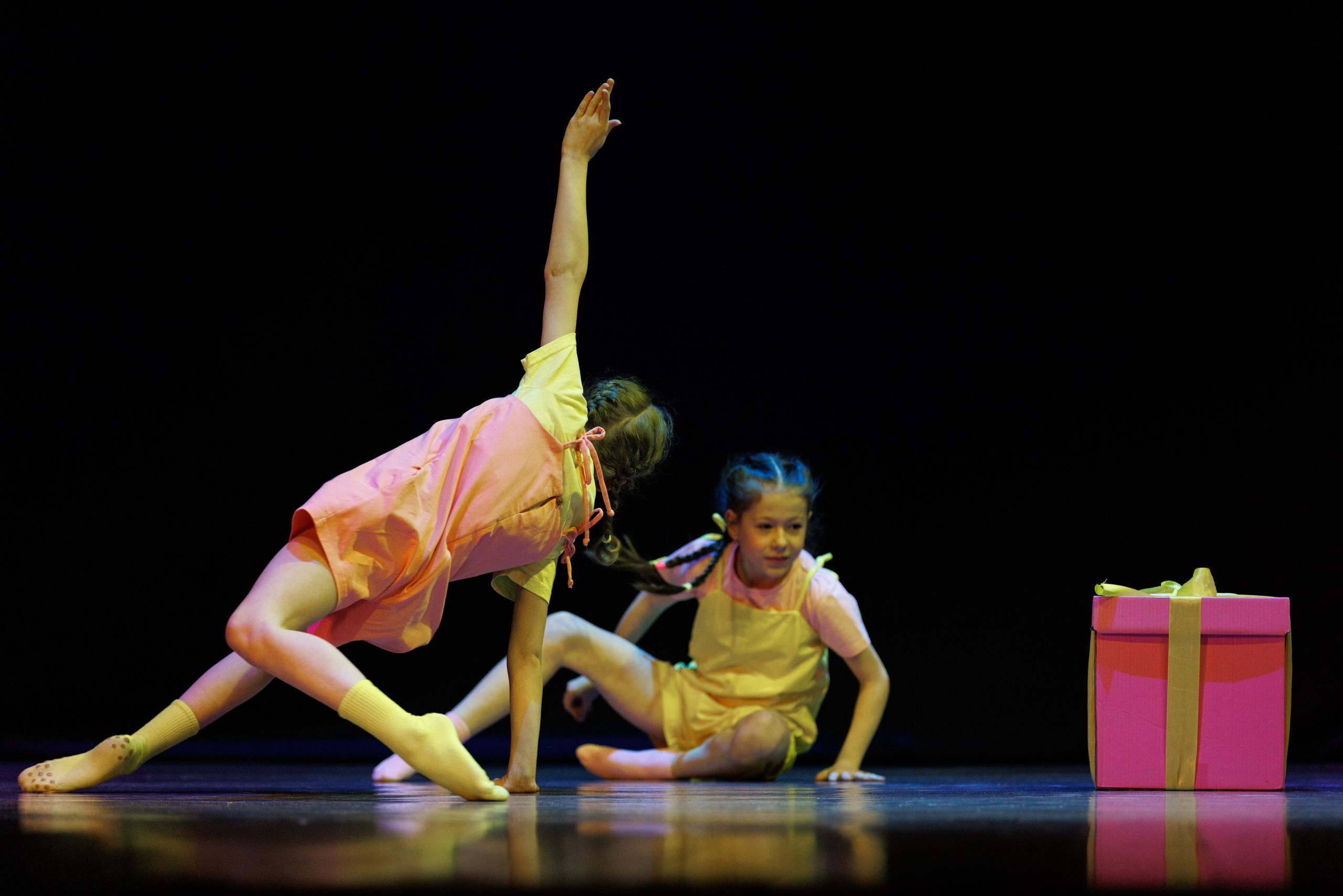 Концерт Королевской Академии танца. Спортивный фотограф Алексей Соломин