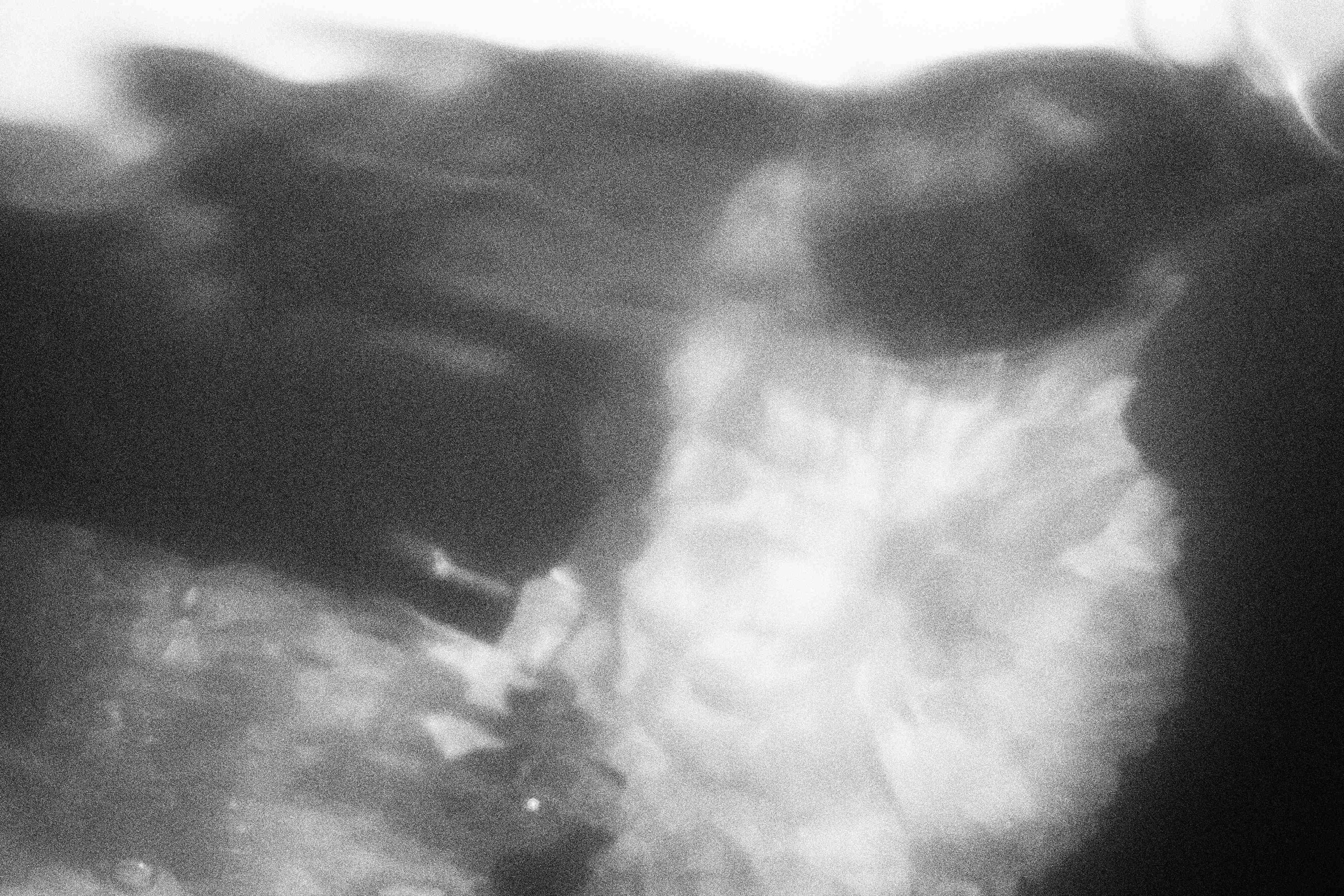 «Видеть. Чувствовать. Сохранять»