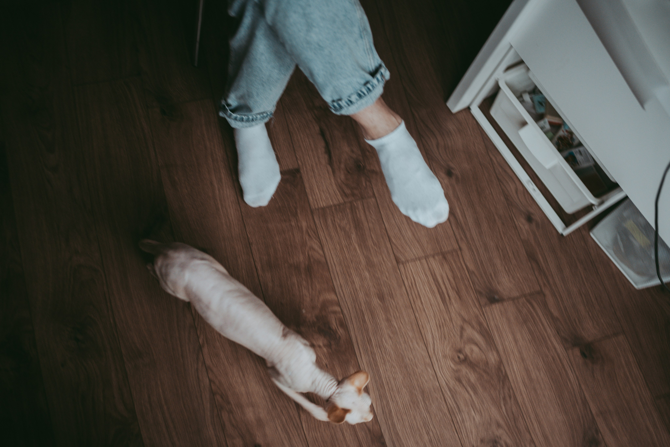 Маша и ее семья. Семейный фотограф в Москве и Подмосковье Иванова Нина