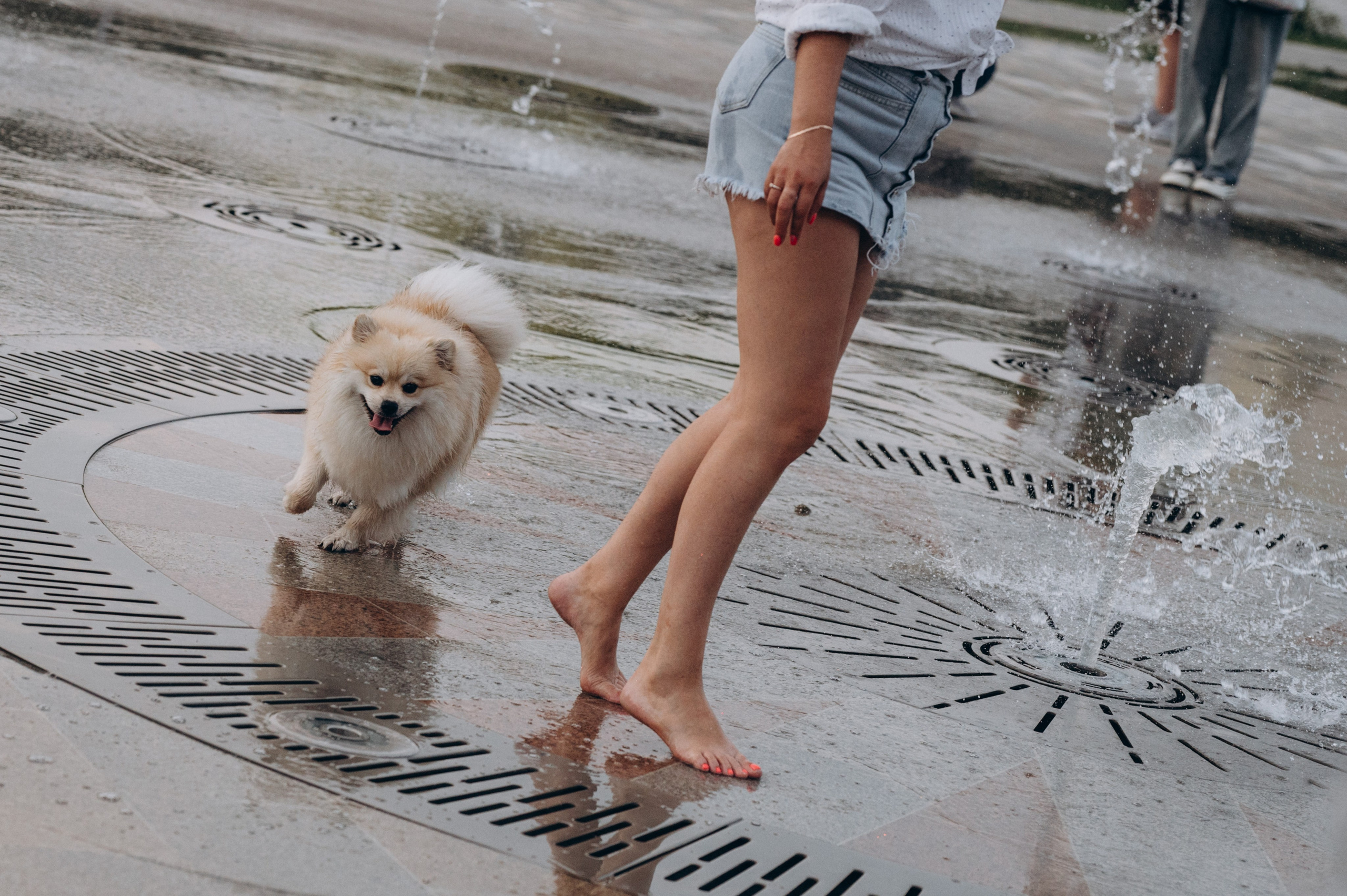 Любовь к животным. Мариуполь фото. Фотограф Мариуполь.Индивидуальные съёмки. Детские, семейные, коммерческие