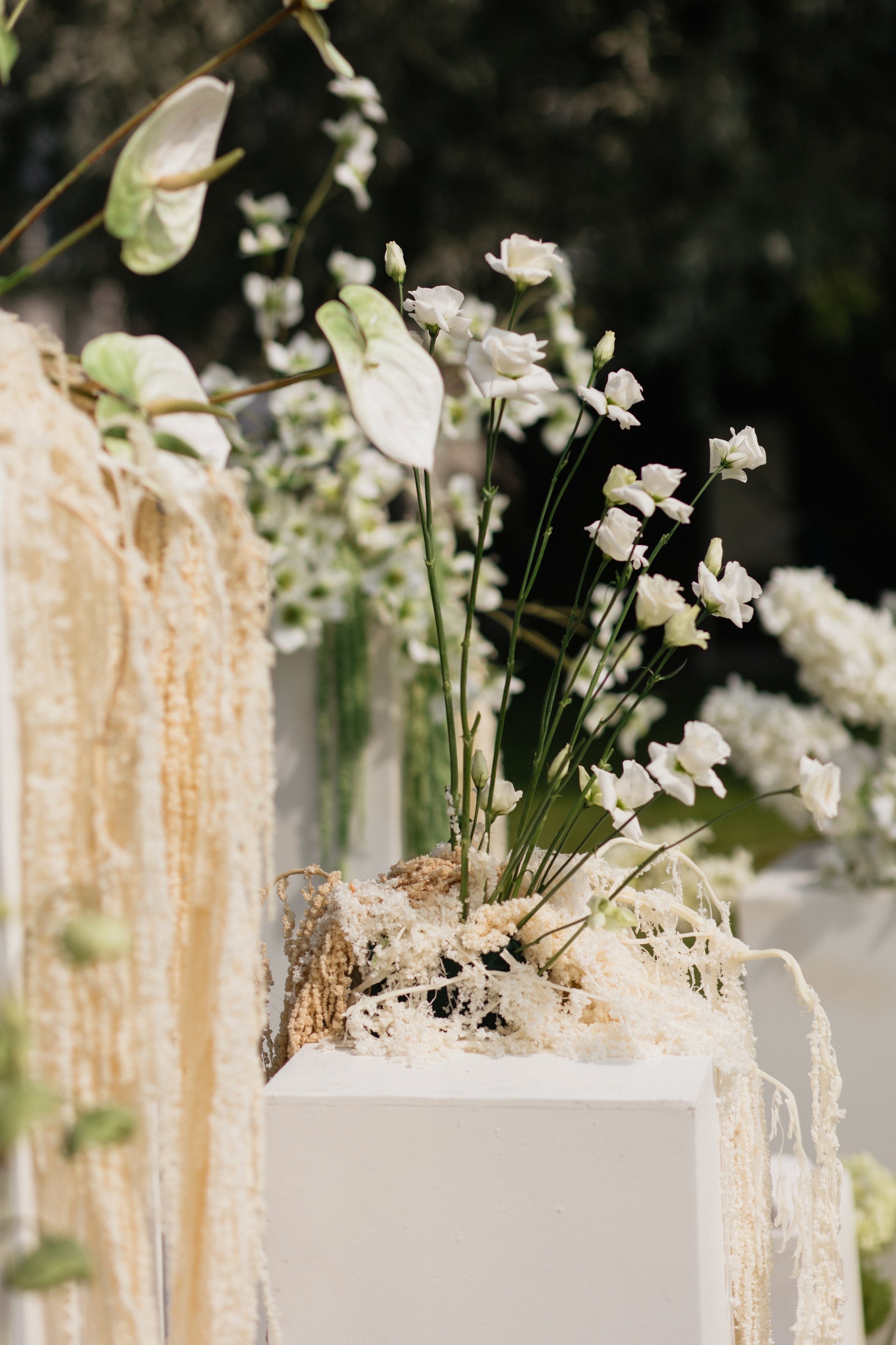 Андрей & Лера | ROBINSON CLUB. Свадебный фотограф в Минске Владислав Бабич