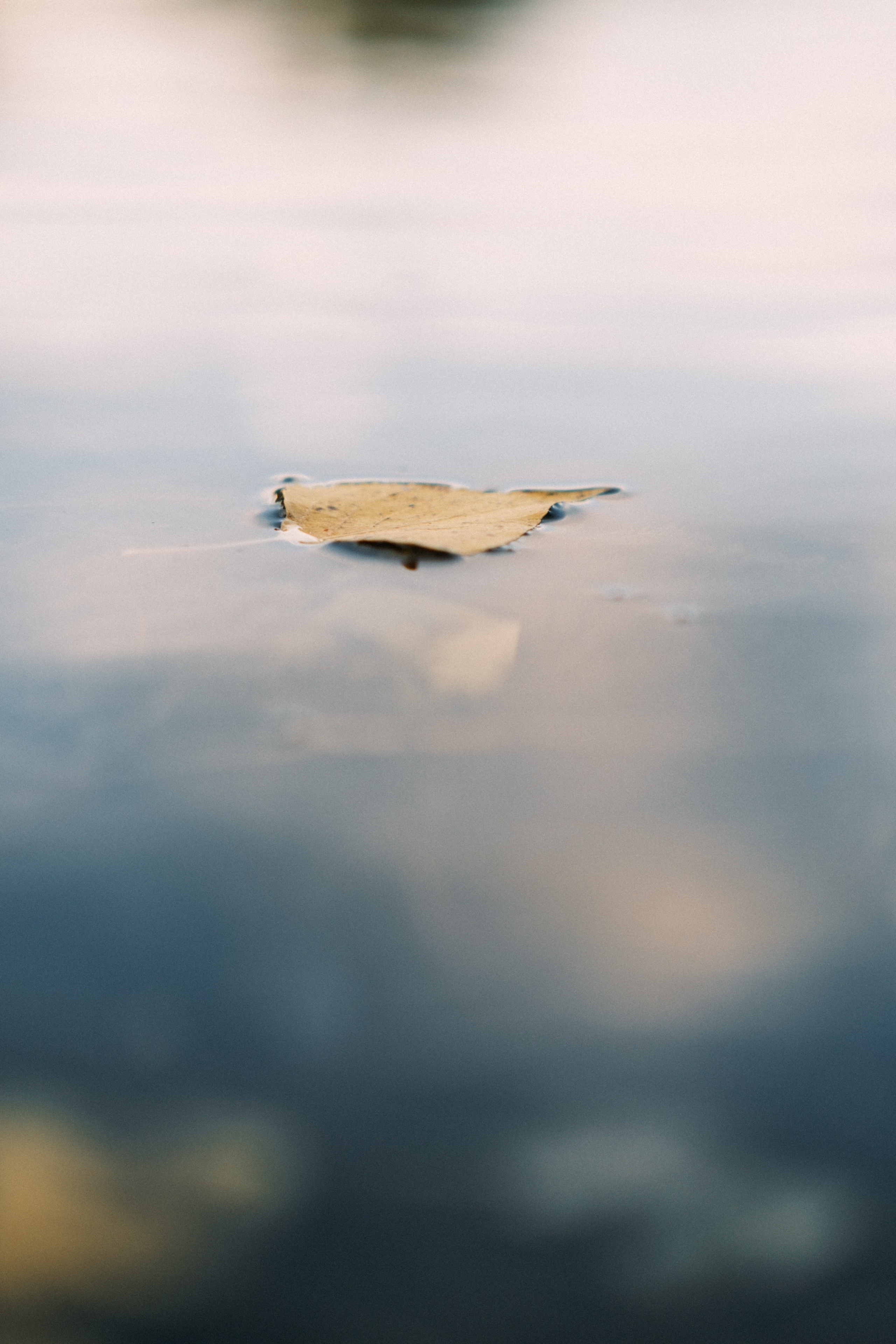 Осень и гребной канал. Свадебный и семейный фотограф Барнаул Рубцовск Бийск Алтайский край