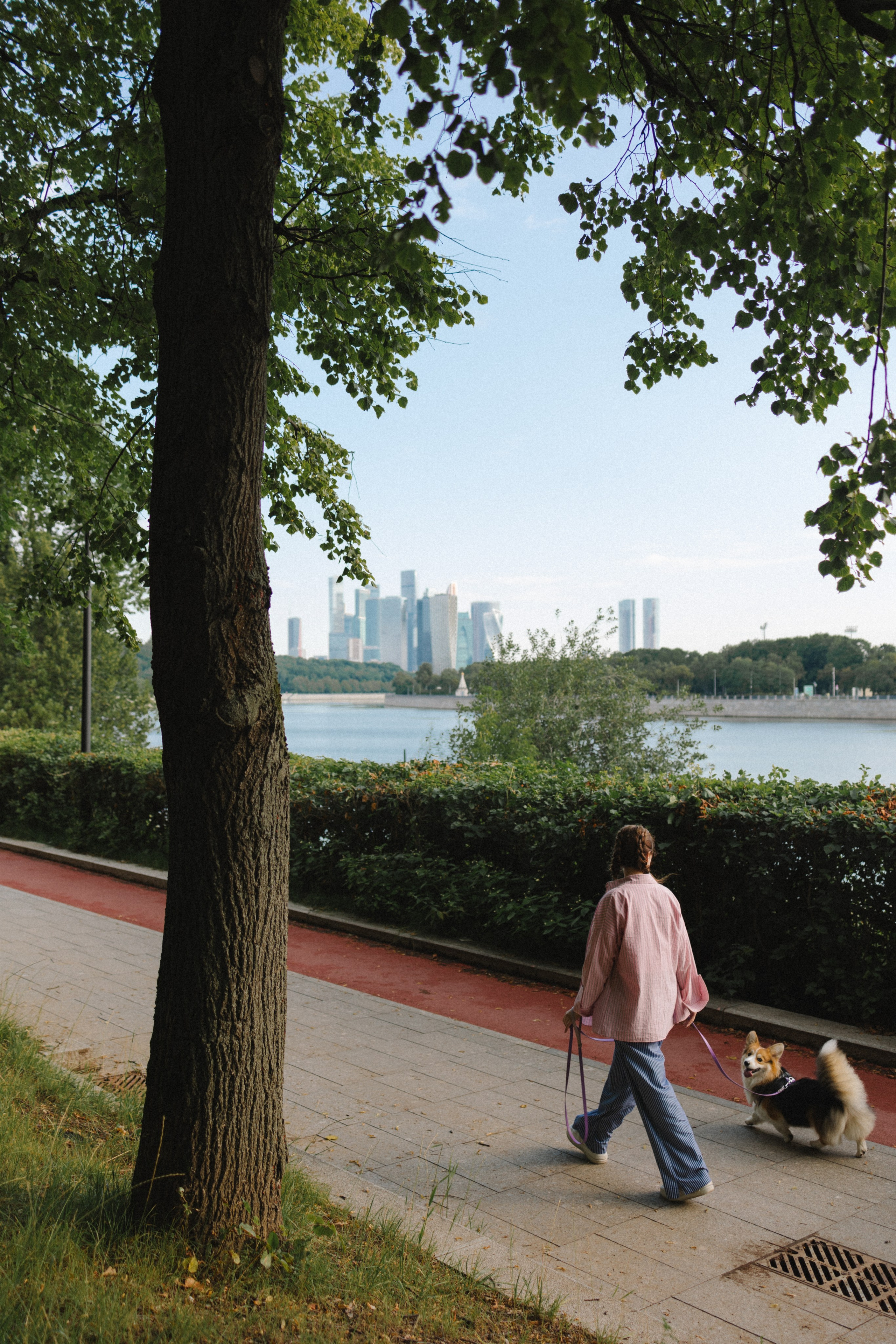 Мишель и Влада. Фотораф — анималист Мария Шистка