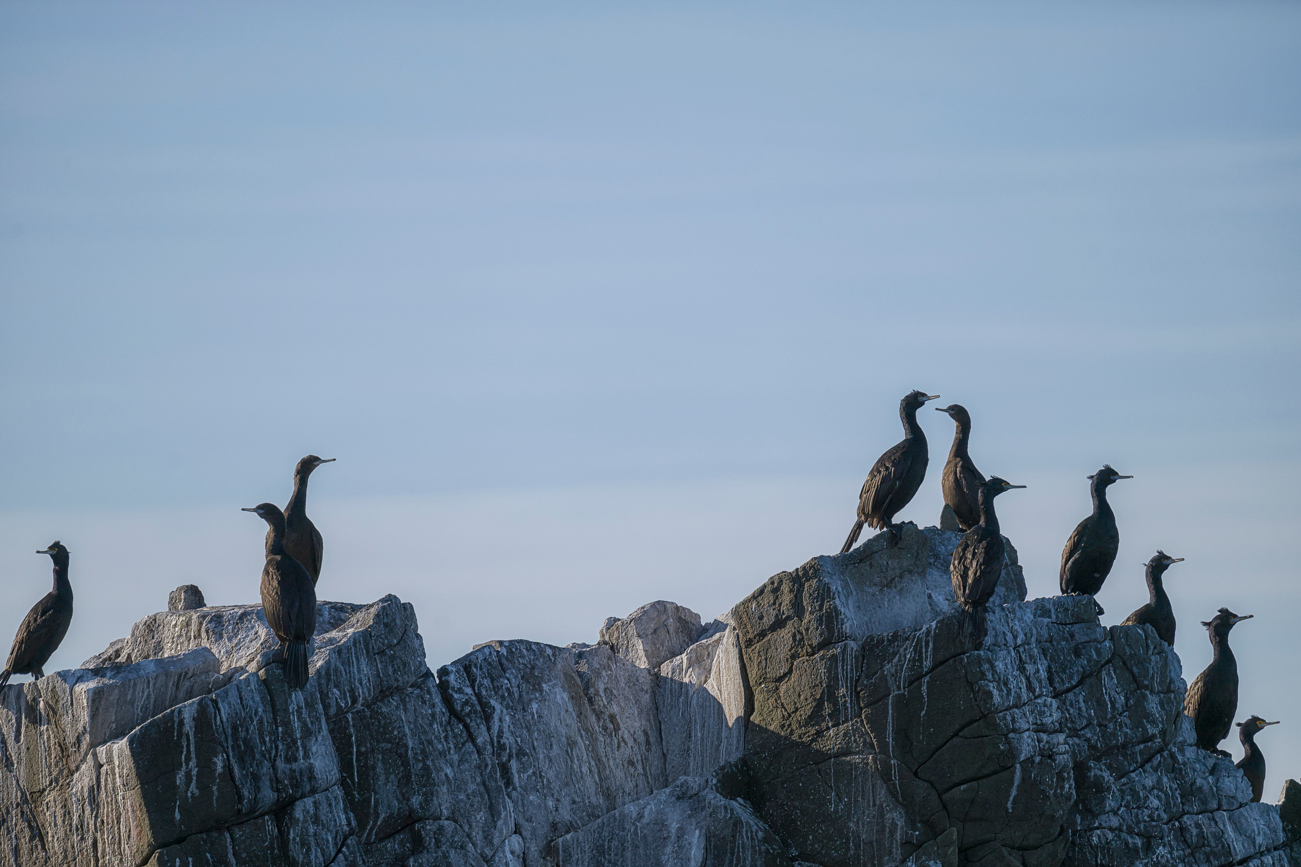 Камчатка. Портретный фотограф в Челябинске Катерина Руди