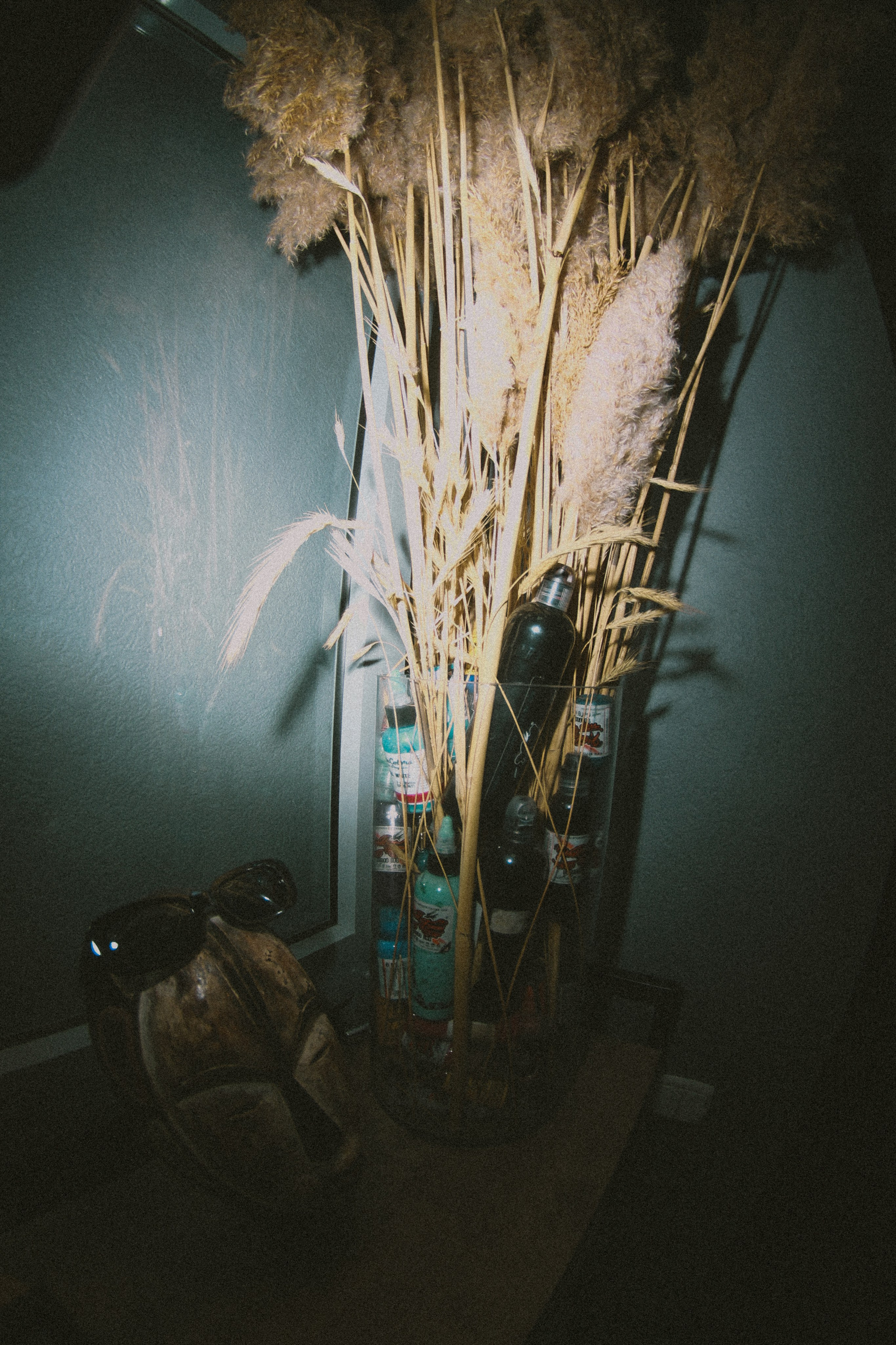 Bobo. Фотограф Мурманск | Нижний Новгород • Анна Хижняк