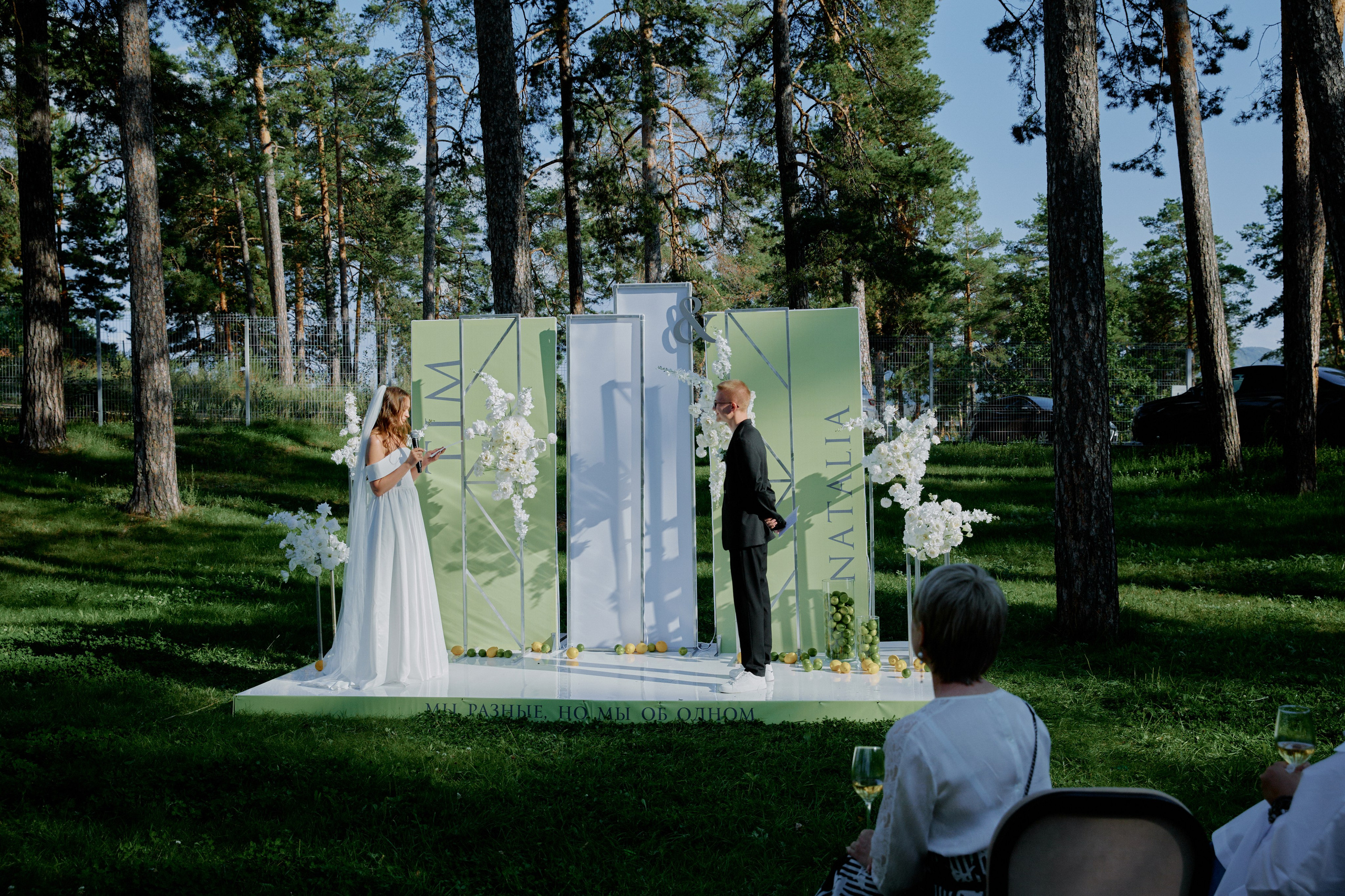 Лаймовое настроение. Фотограф Елена Краснопевцева