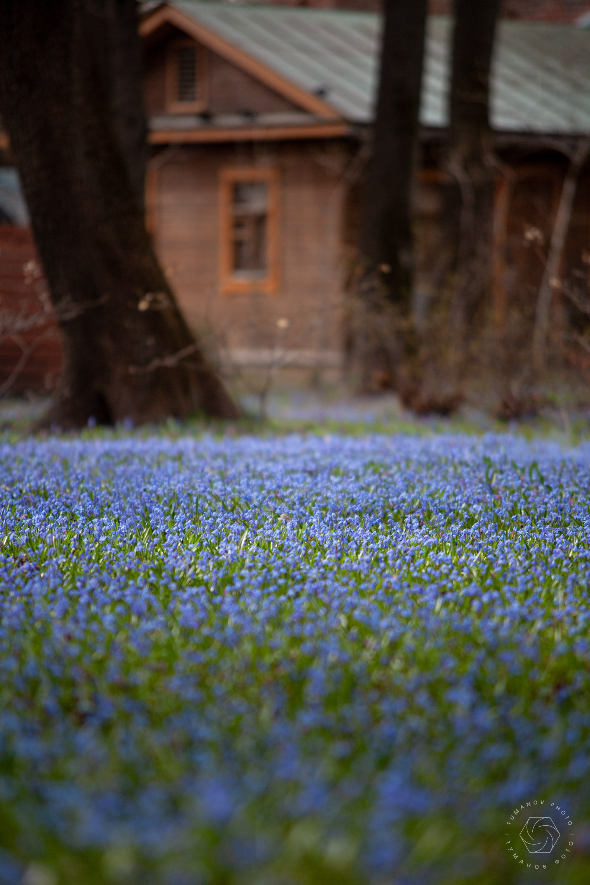 Усадьба Л. Н. Толстого в Хамовниках. Туманов Виталий — фотограф Москва