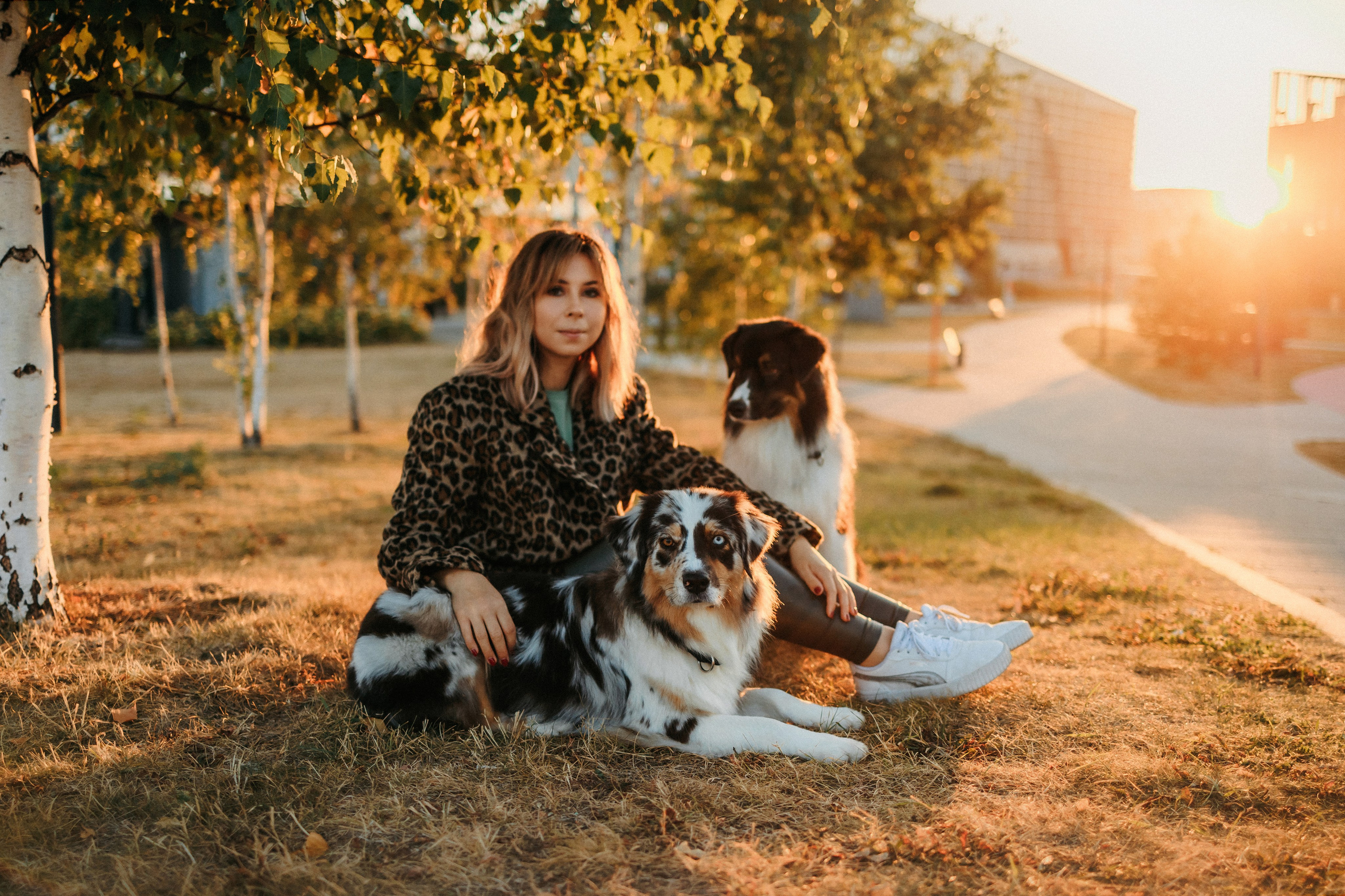 Аня, Чарли и Ева. Фотограф-анималист Елена Радченко, Москва