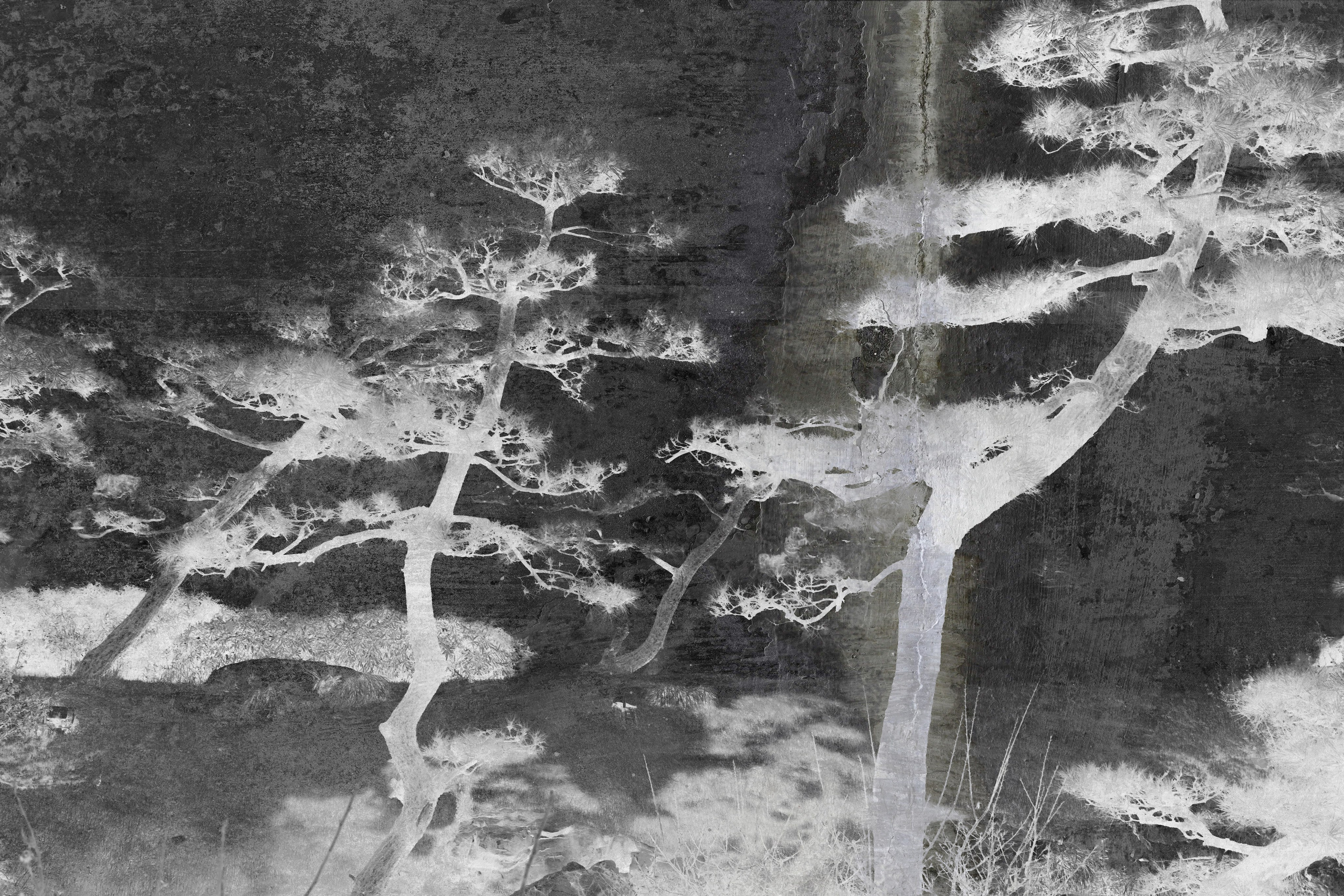 Проект «Somnia» Венкай Ван (Wenkai Wang). Private image