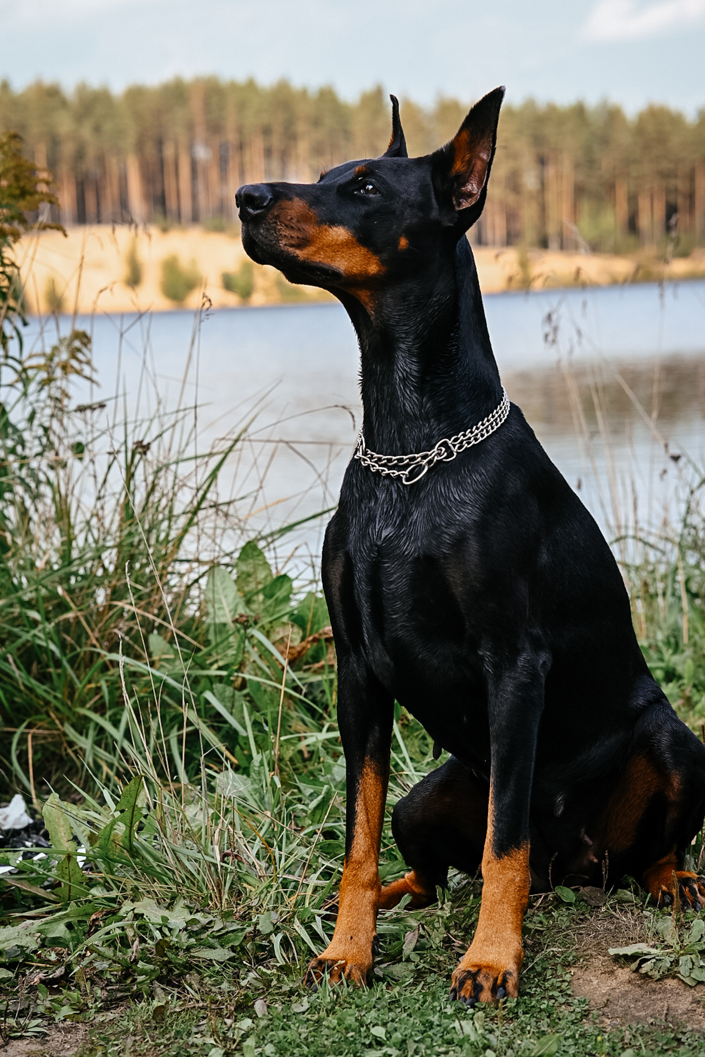 Отзывы. LifeStyle фотограф Анна Воробьёва Санкт-Петербург