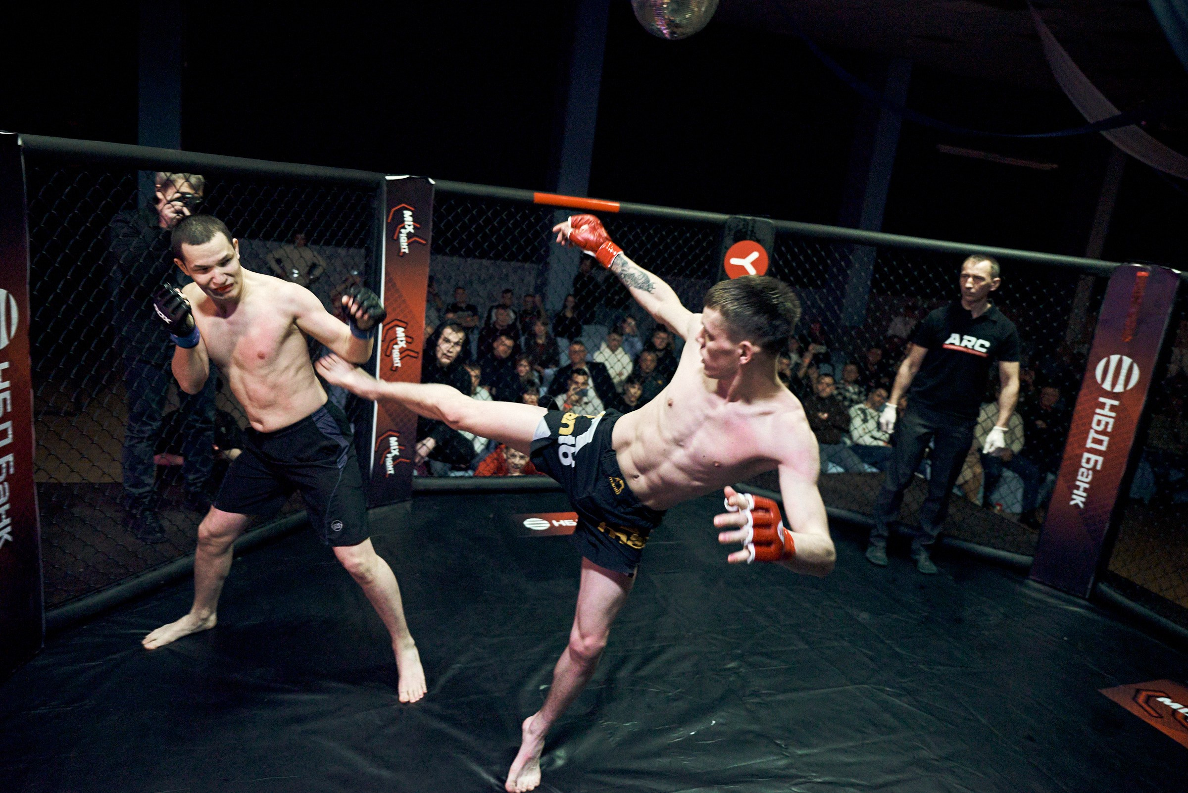 Бои. Маляревич Дмитрий свадебный фотограф