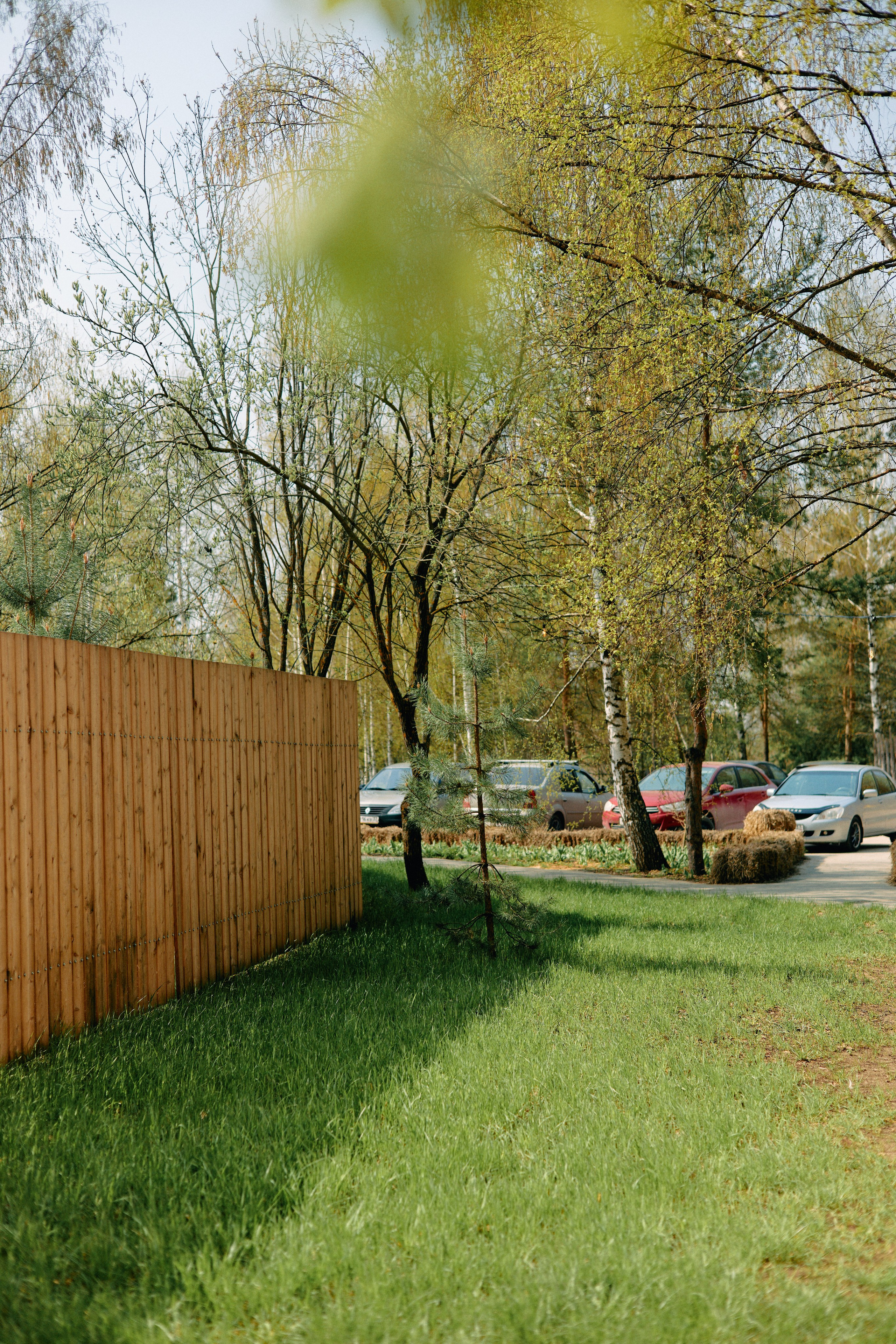 Бутик-отель Поле летом. Профессиональный Фотограф во Владимире, в Москве и в Суздале — Полина Романычева