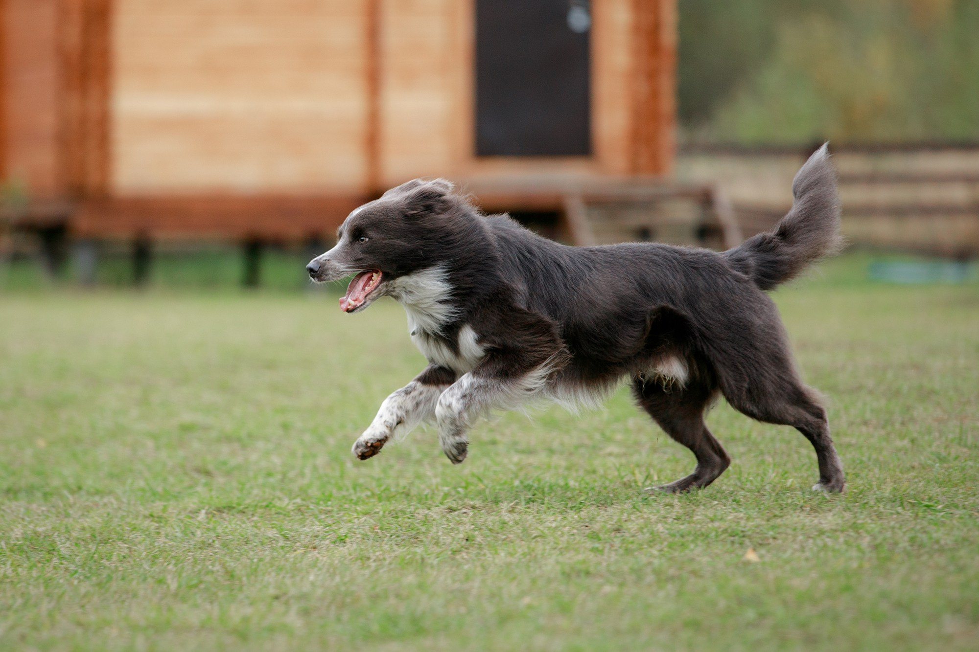 Лагерь по ОБД с Инной Баженовой. Фотограф-анималист Mary Mart — Москва, Питер