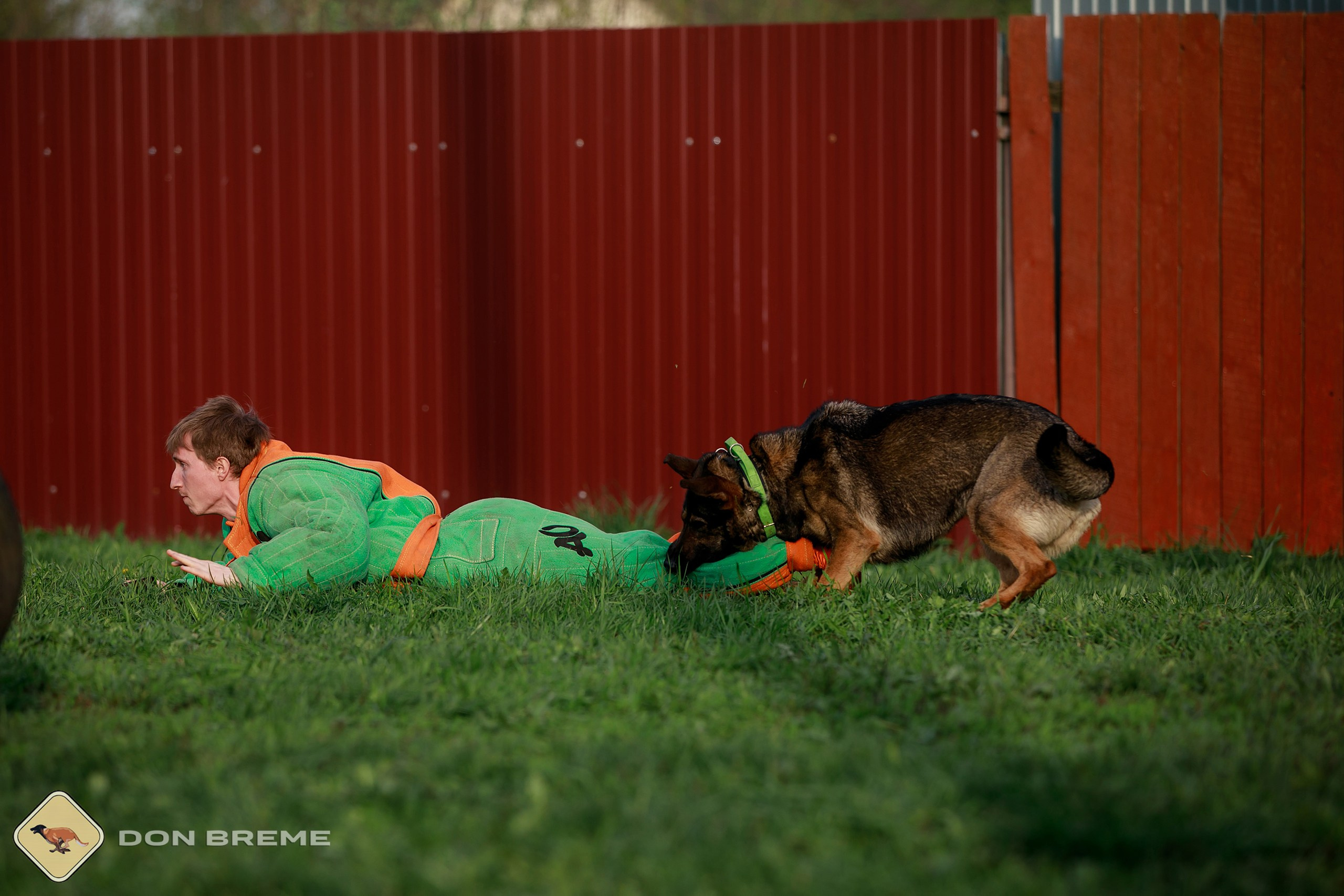 Семинар для фигурантов, день 2. Фотограф-анималист Mary Mart — Москва, Питер