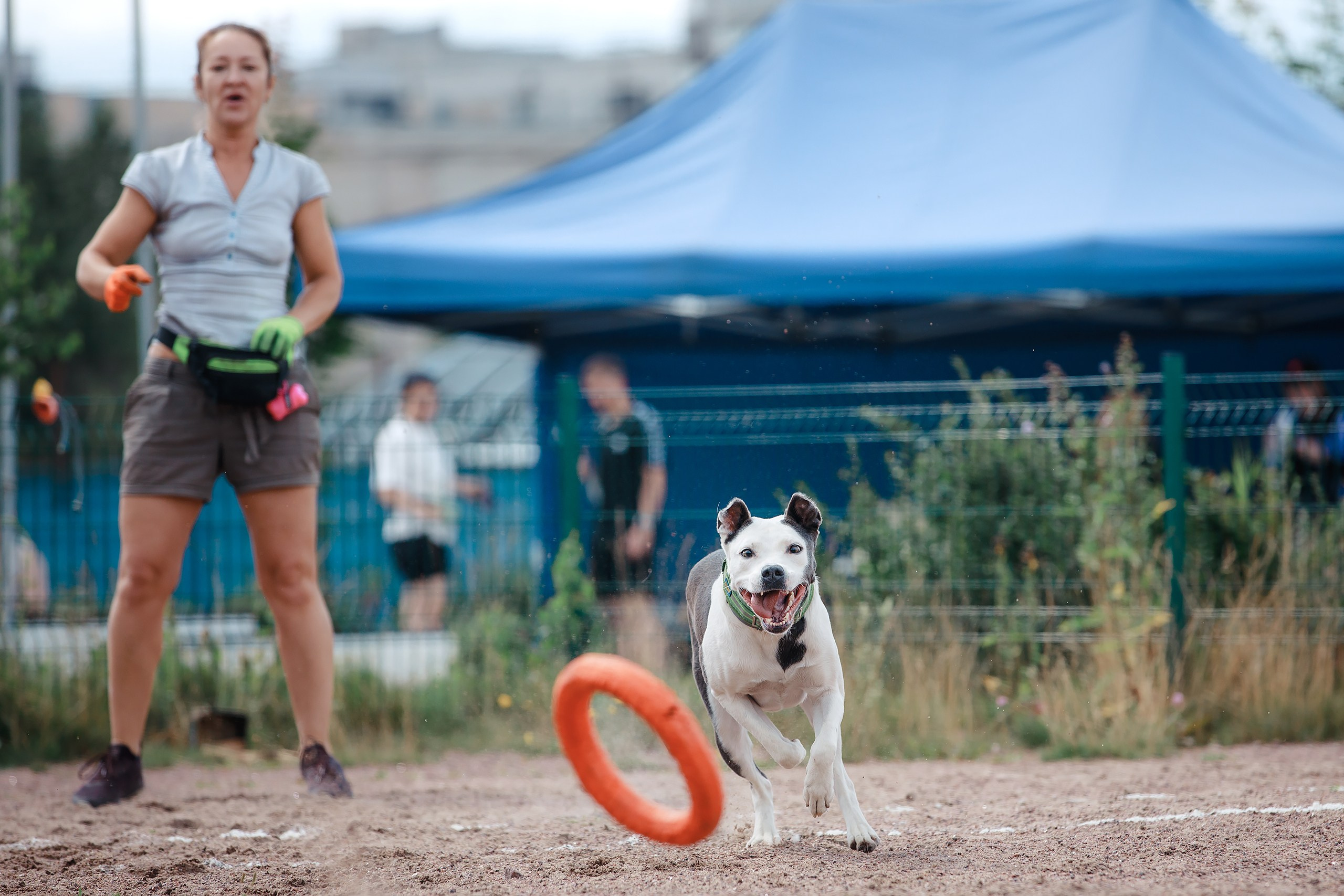 Питч&Гоу + веселые старты. Фотограф-анималист Mary Mart — Москва, Питер