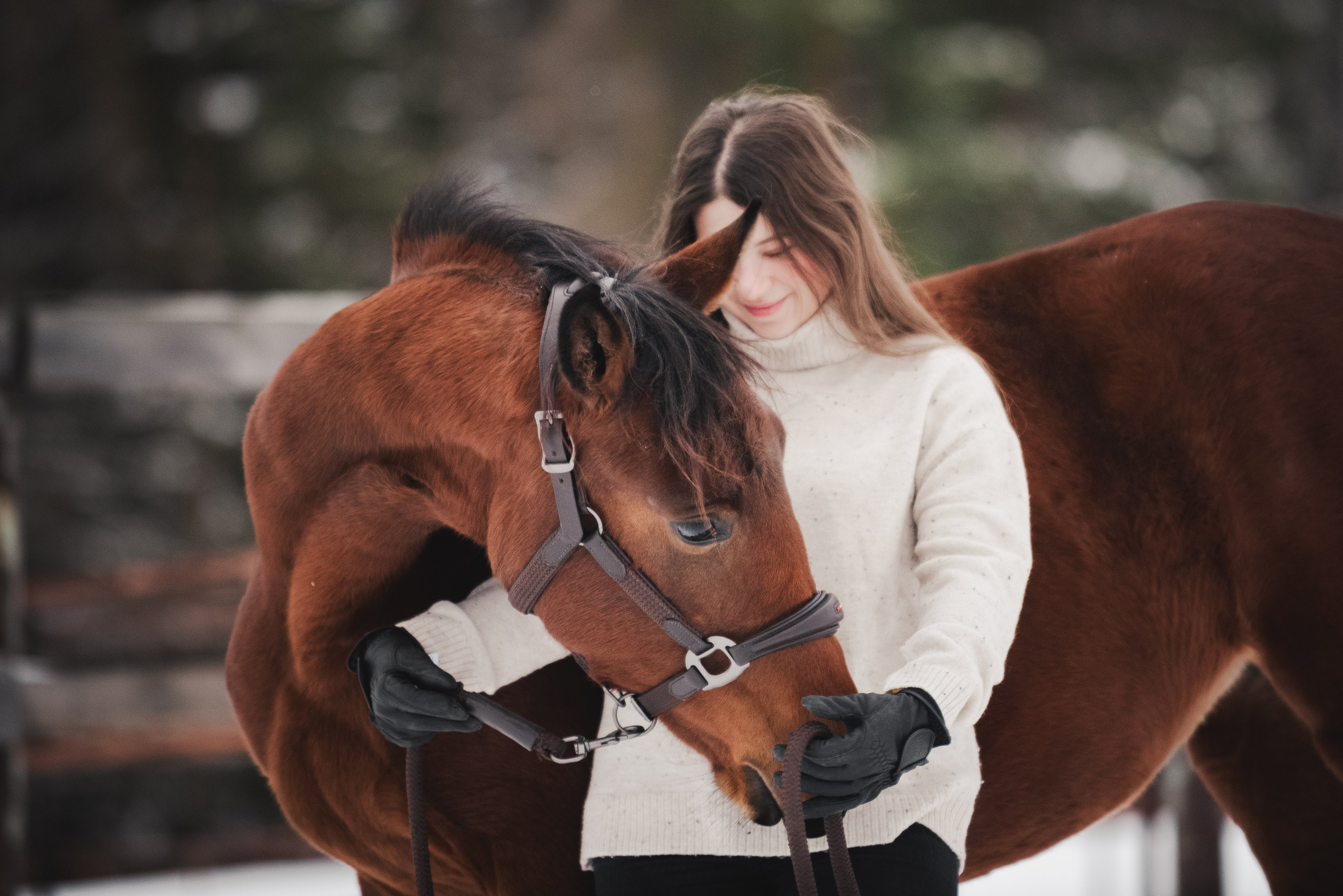 Дестини. Куракина Дарья • Конный фотограф