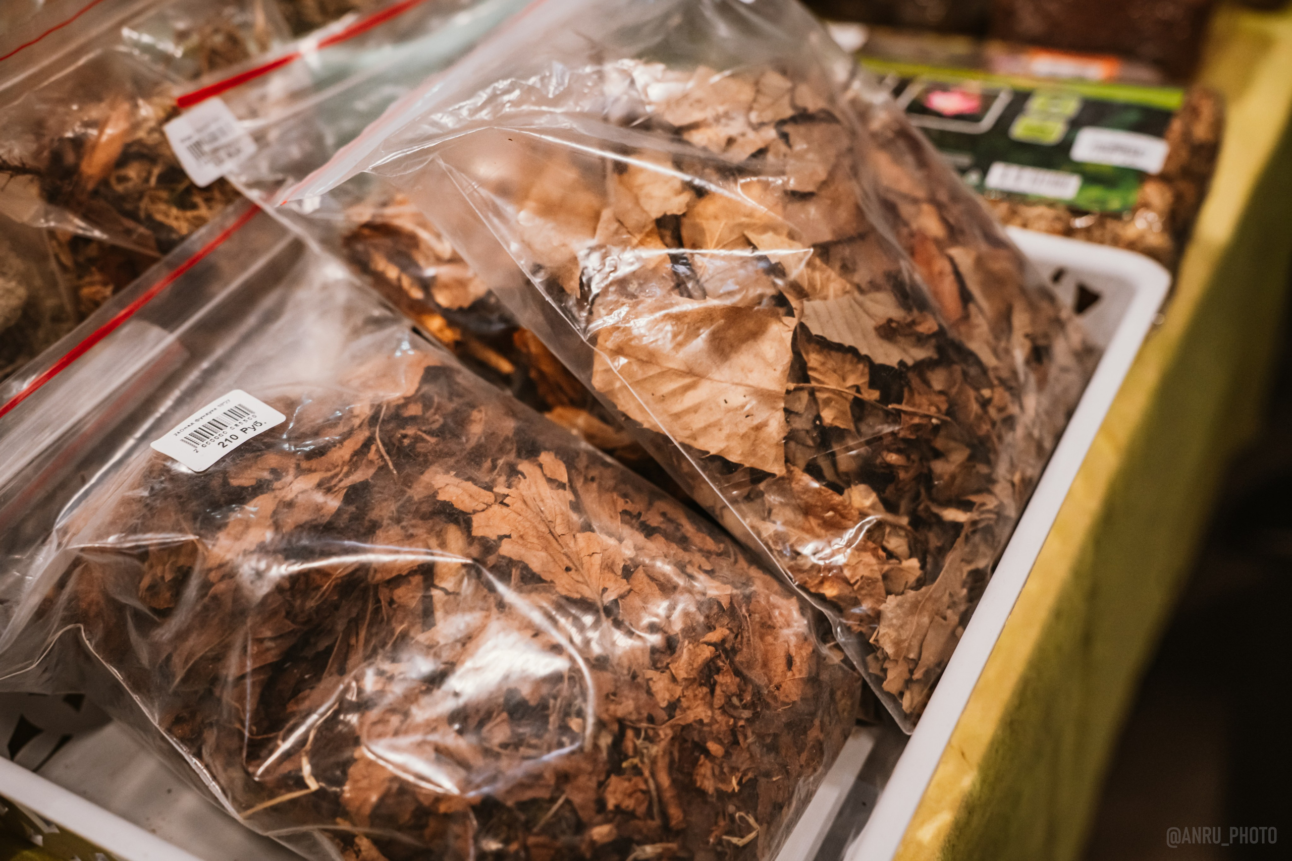 Рептилиум. Репортажный фотограф Анастасия Рубцова