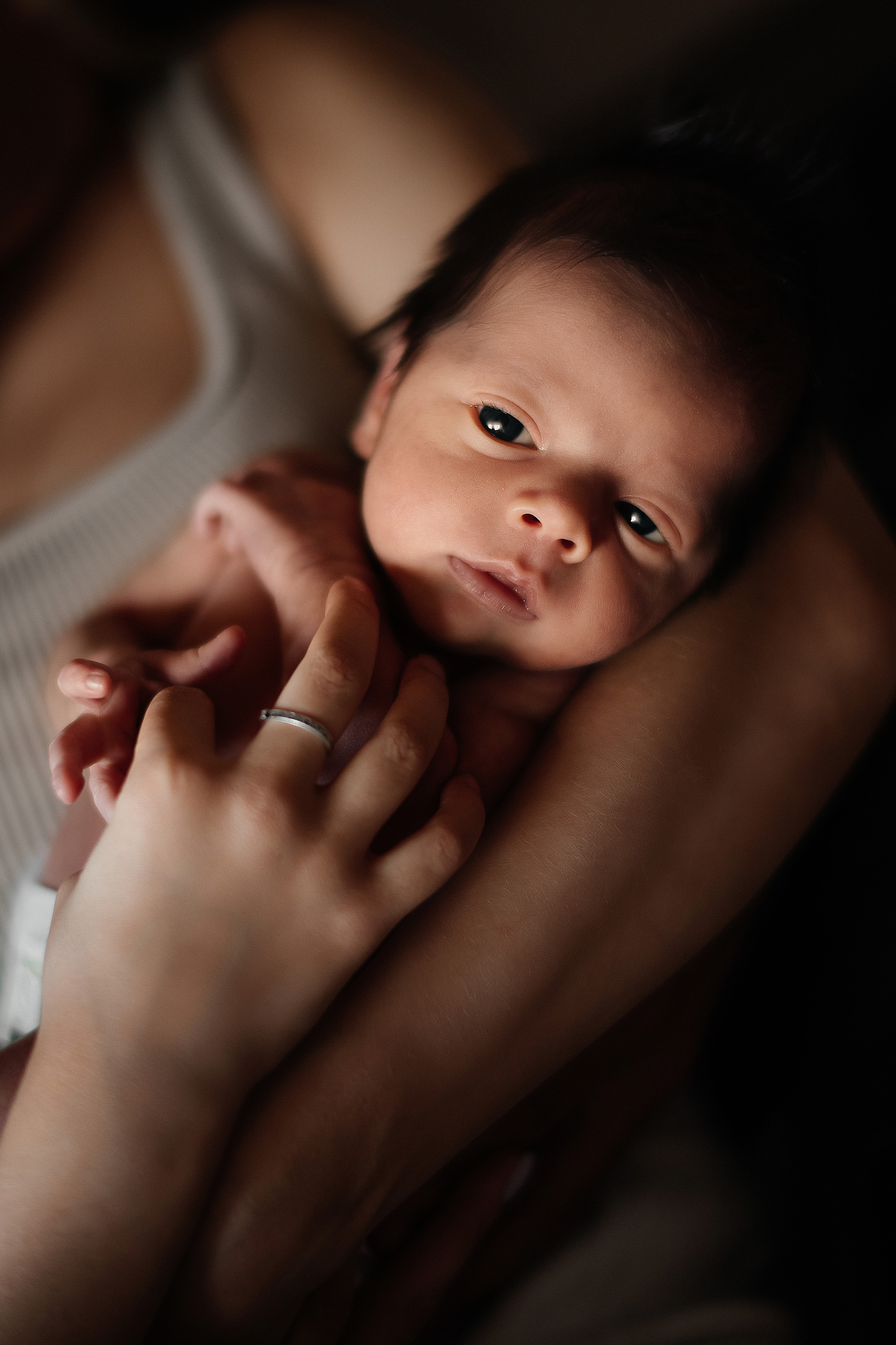 A+M. Свадебный фотограф Ростов-на-Дону от 4 400 руб. |Кристина Гайсенюк