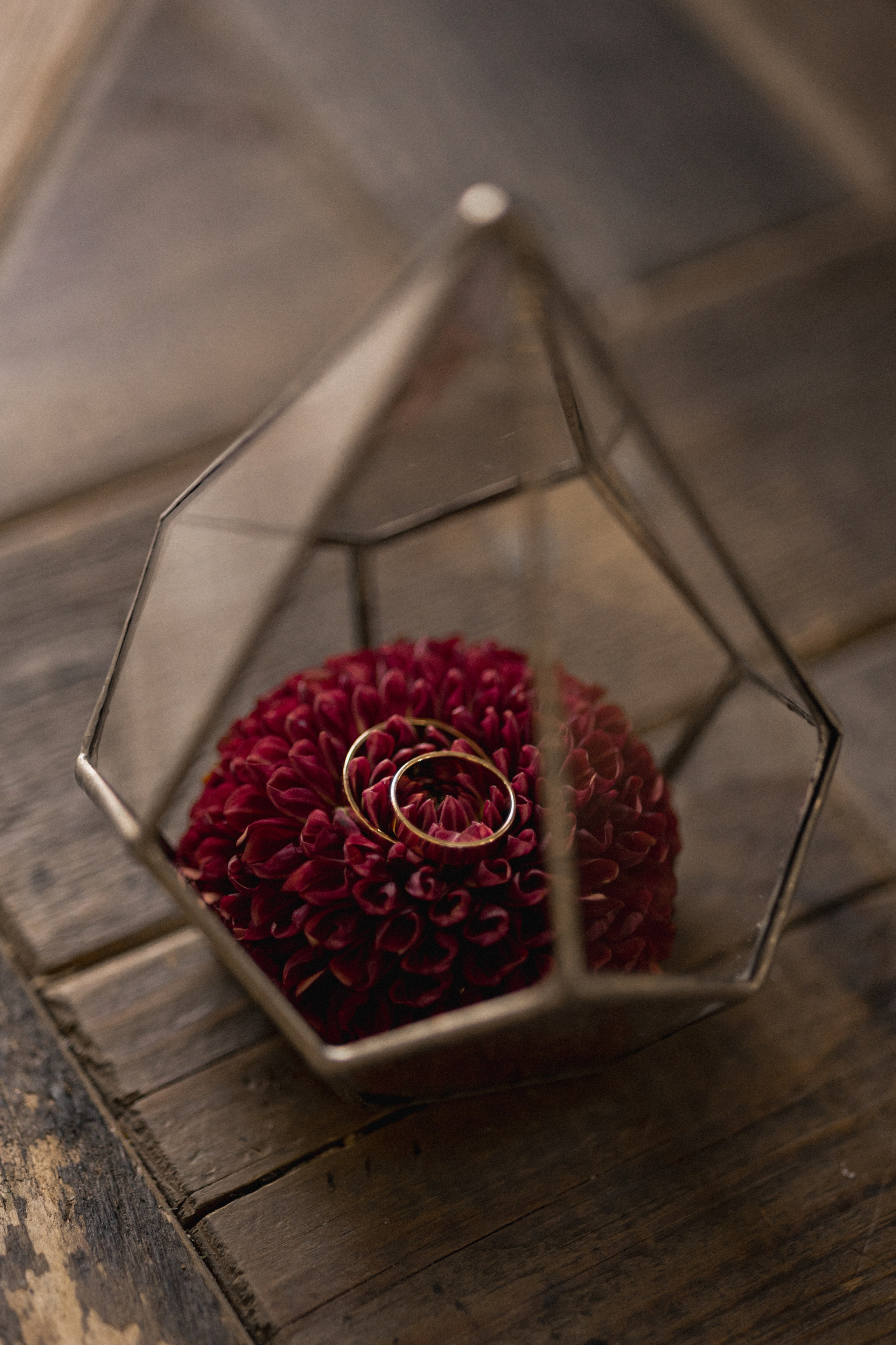 MALVINA & ALEXANDER | PYATIGORSK. Фотограф Настя Конник | Пятигорск | Эльбрус | Домбай | Архыз