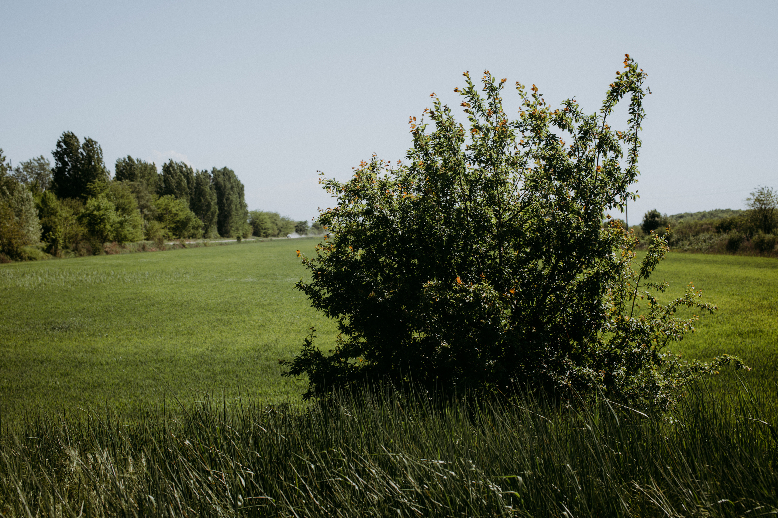 Природа. Свадебный и семейный фотограф/видеограф в Краснодаре Наталья Осинская