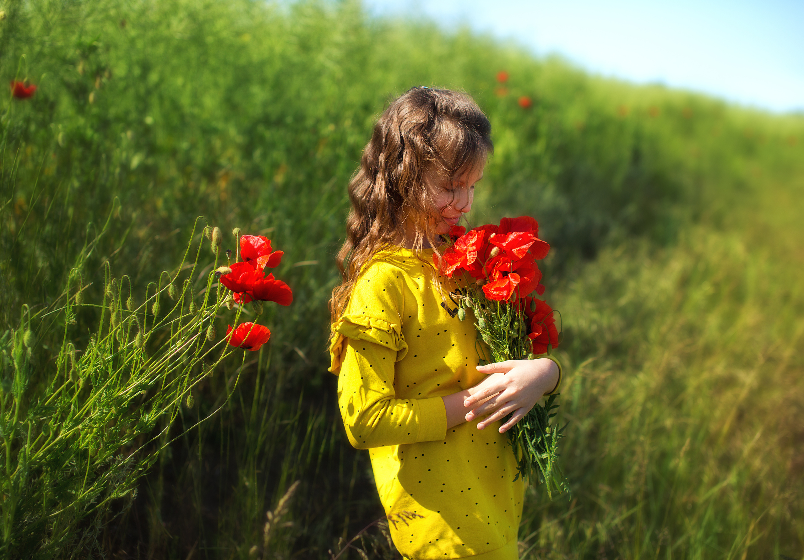 Прогулочные съёмки. Свадебный и семейный фотограф/видеограф в Краснодаре Наталья Осинская