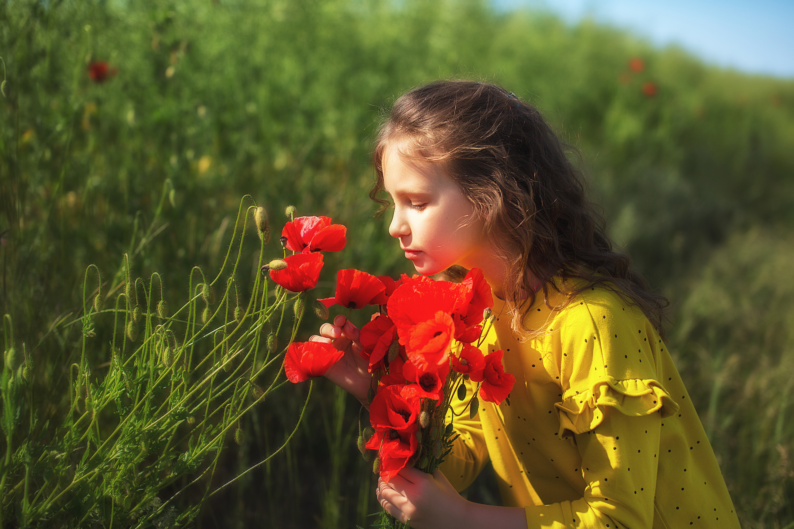 Прогулочные съёмки. Свадебный и семейный фотограф/видеограф в Краснодаре Наталья Осинская