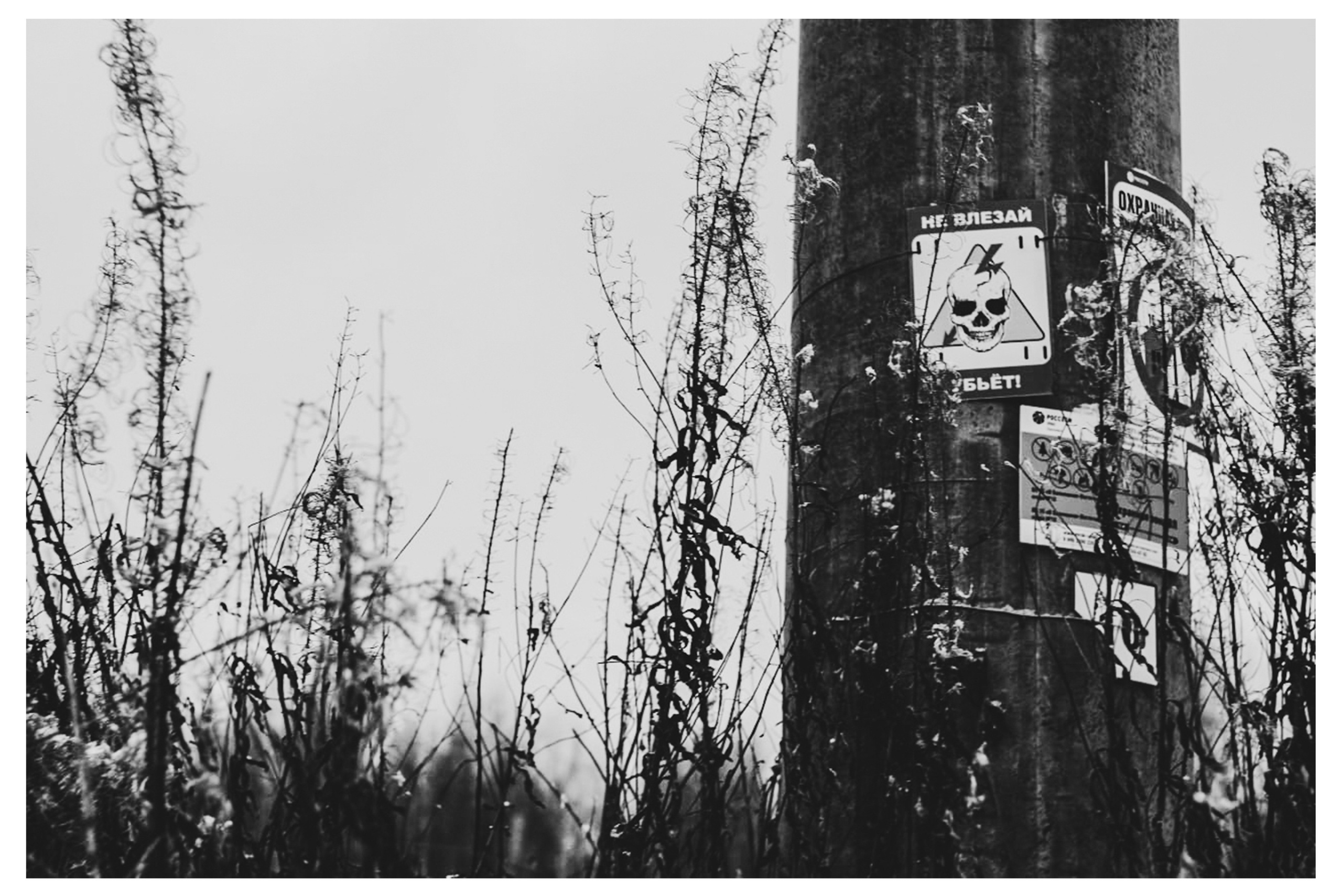 W&B HORIZONTAL. Фотограф в Севастополе Максим Черенёв