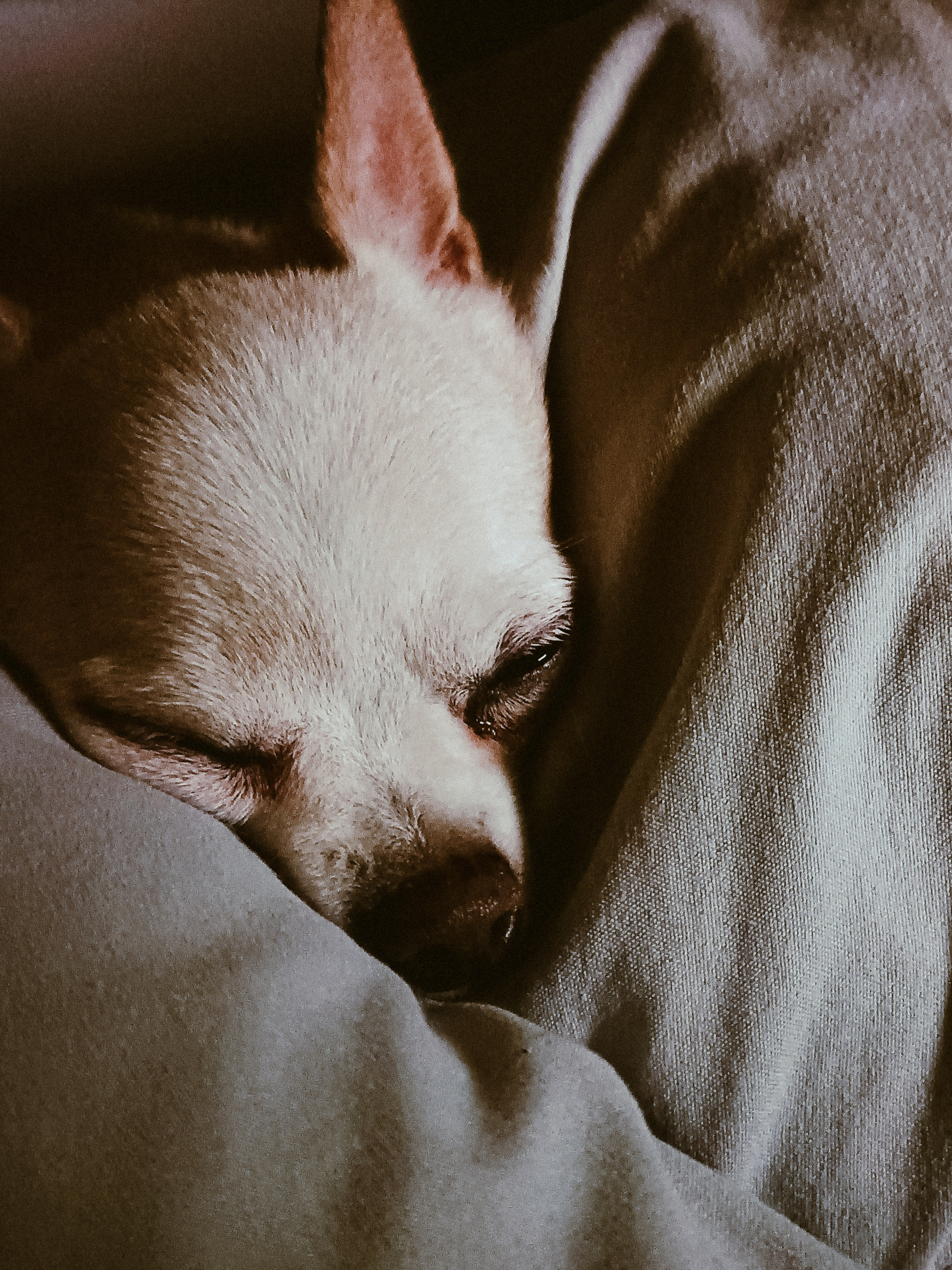 Мобильная. Jorgis — фотограф в Хургаде / обучение фотографии