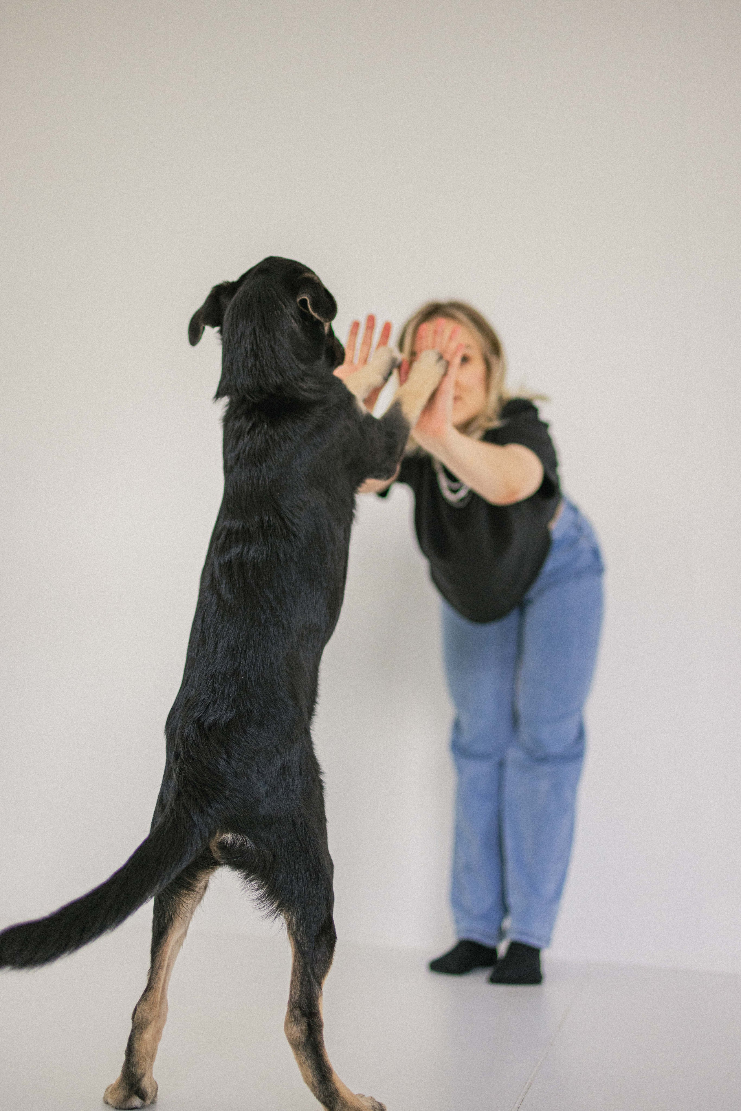 Крис и Тэдди. Фотограф-анималист в Москве Лера Черноног