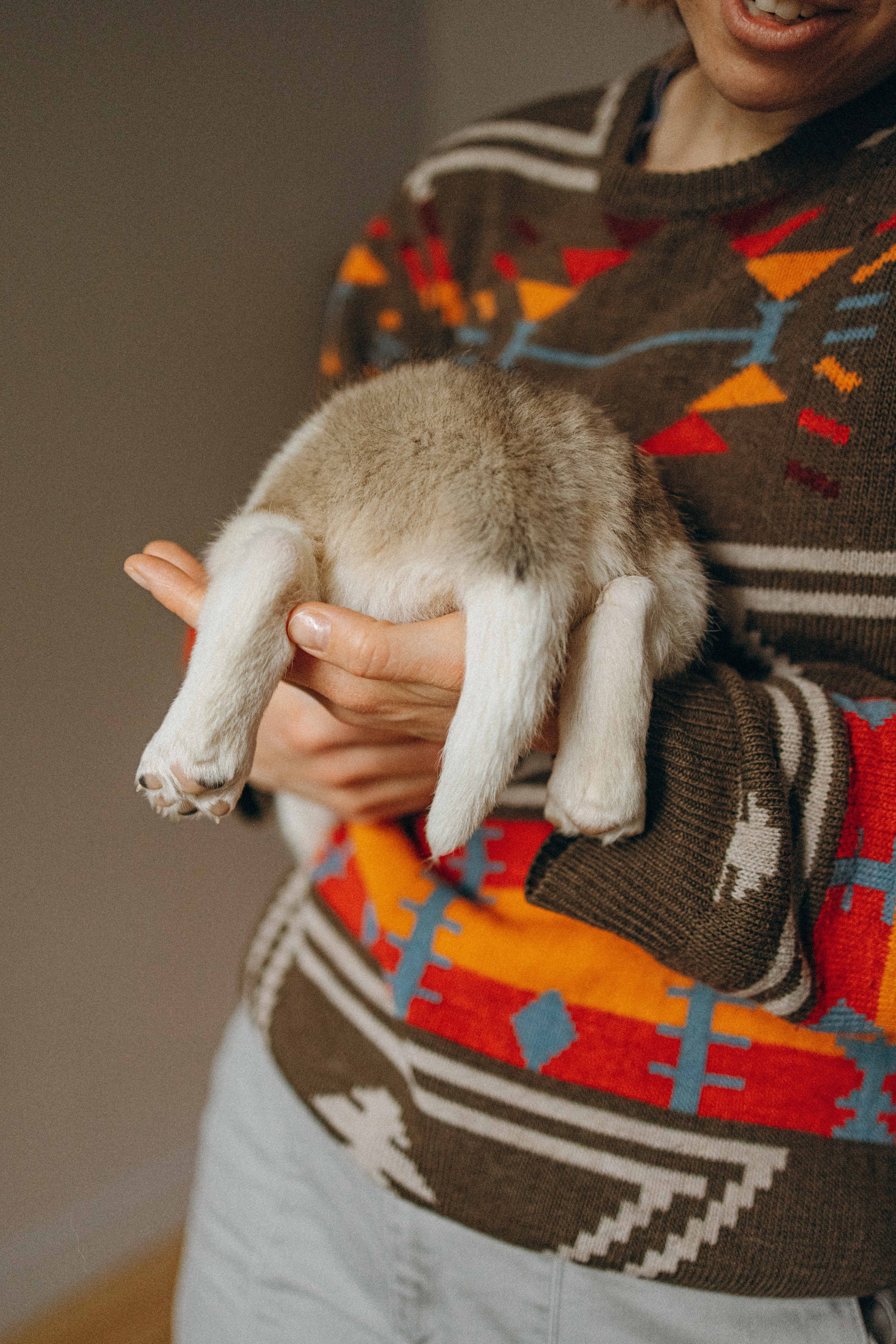 Щеночки. Фотограф-анималист в Москве Лера Черноног