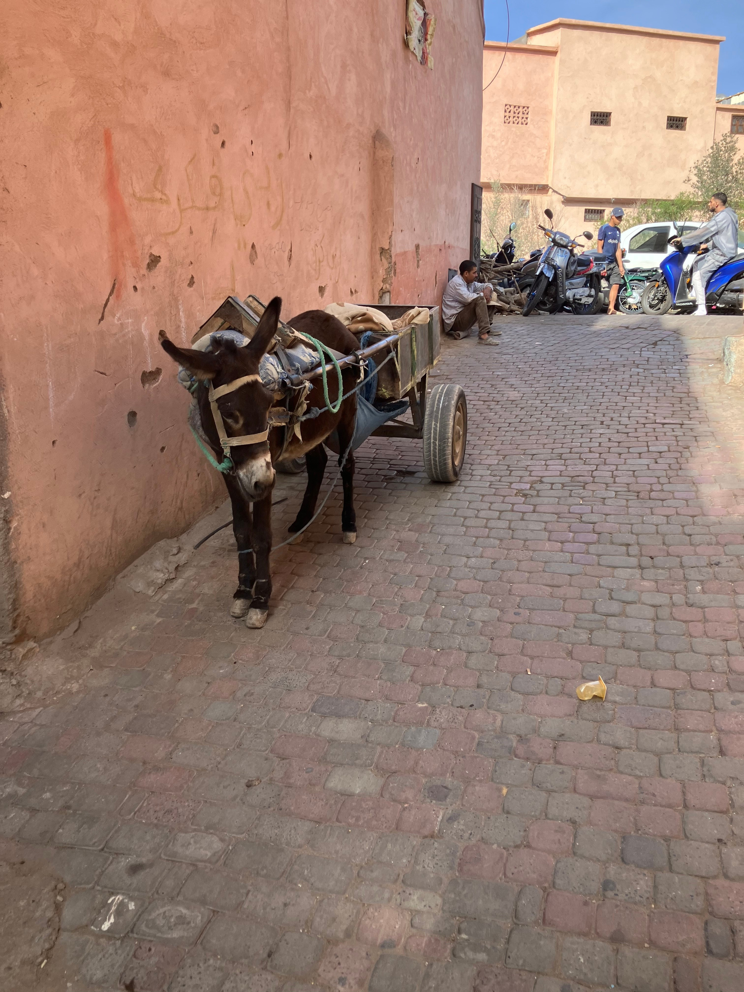 Ph: Максим Б.