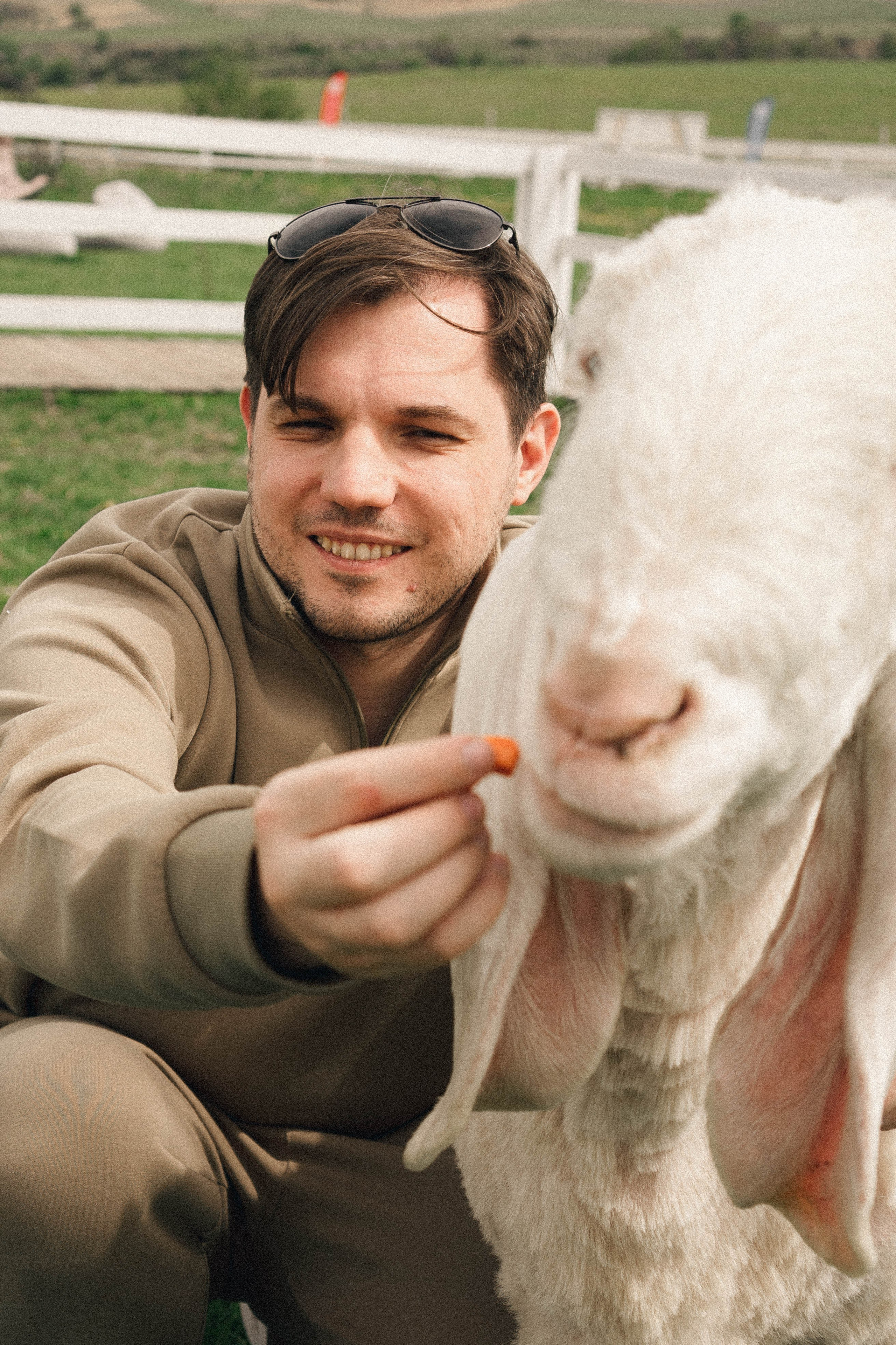 Ферма Альпак. Профессиональный фотограф, Санкт-Петербург — Виктория Богомолова