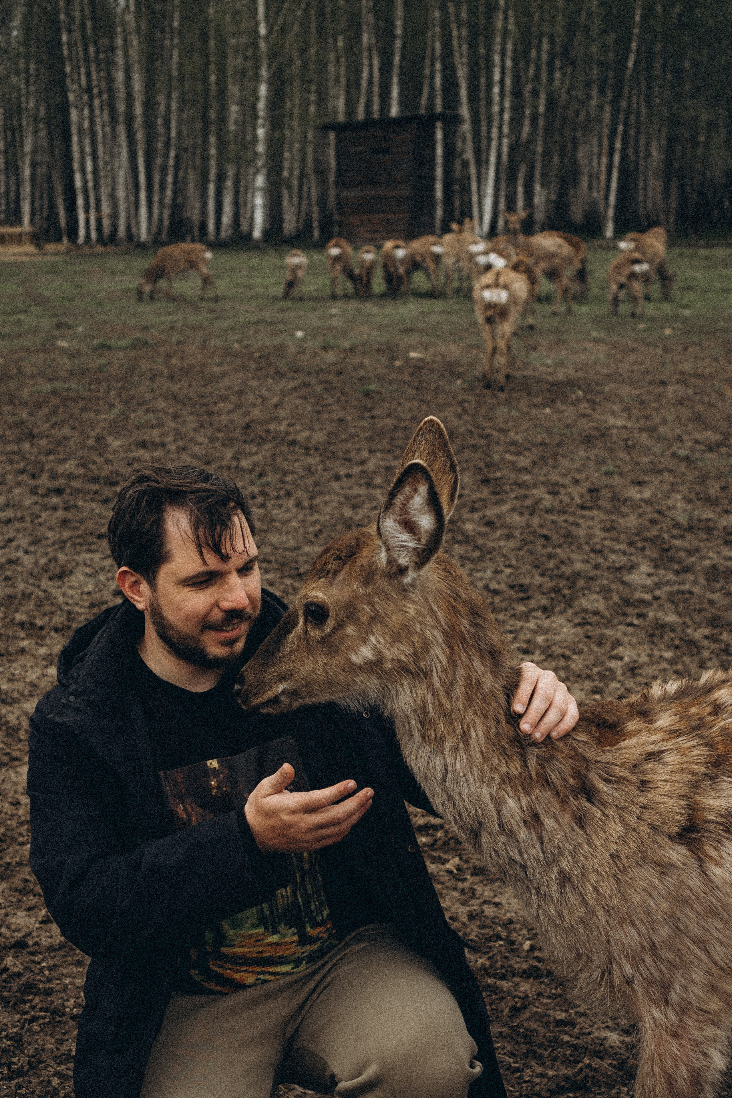 ОЛЕНЬЯ ФЕРМА В ТВЕРИ. Профессиональный фотограф, Санкт-Петербург — Виктория Богомолова