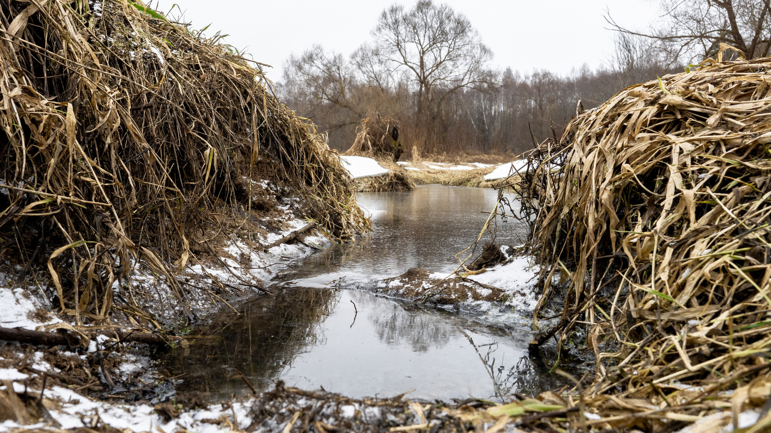 Дача. ПОБУДЬ ЗДЕСЬ И ЦЕЛЕЕ БУДЕТ ЭТОТ МИР