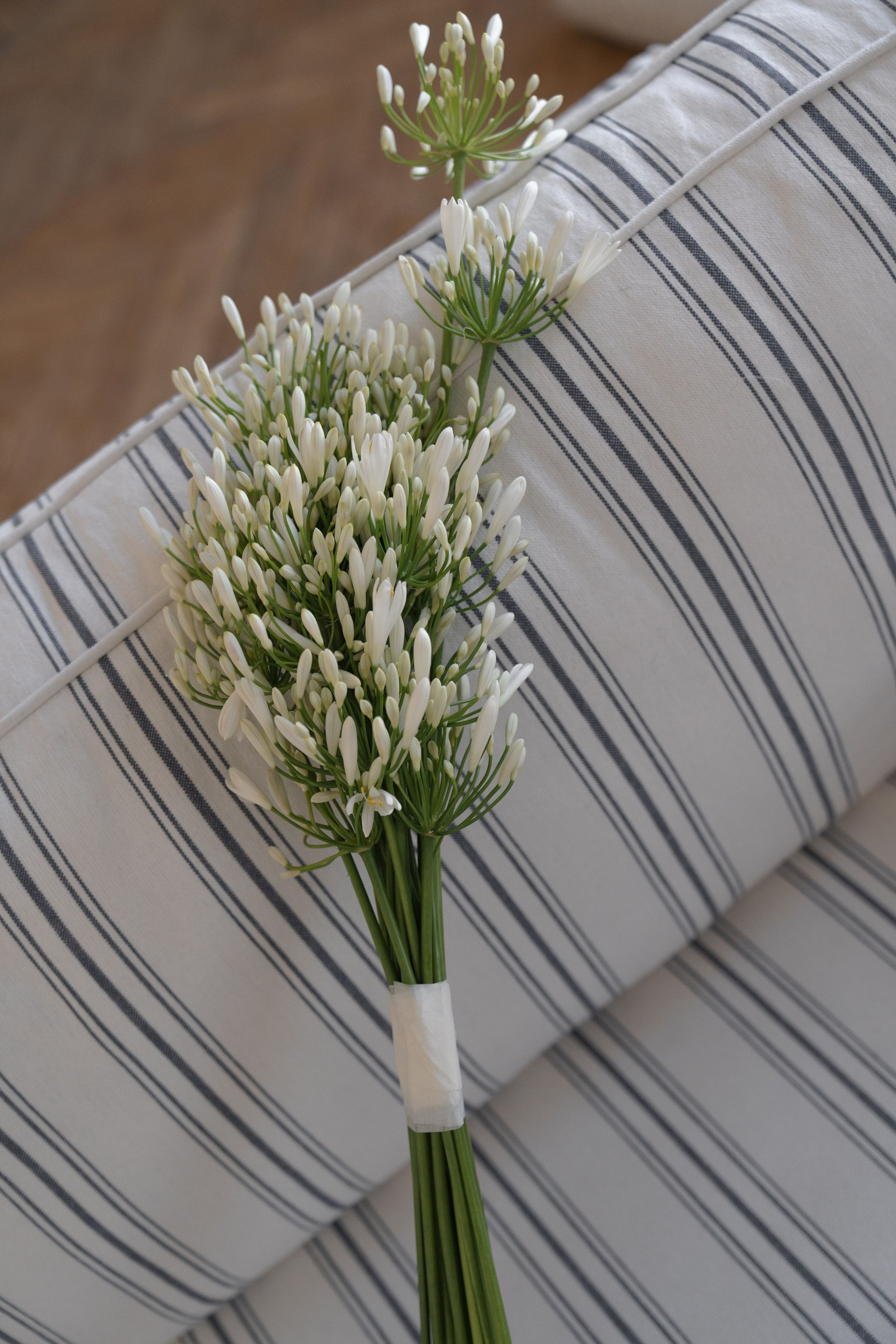 Anna. Свадебный фотограф Наташа Брифли