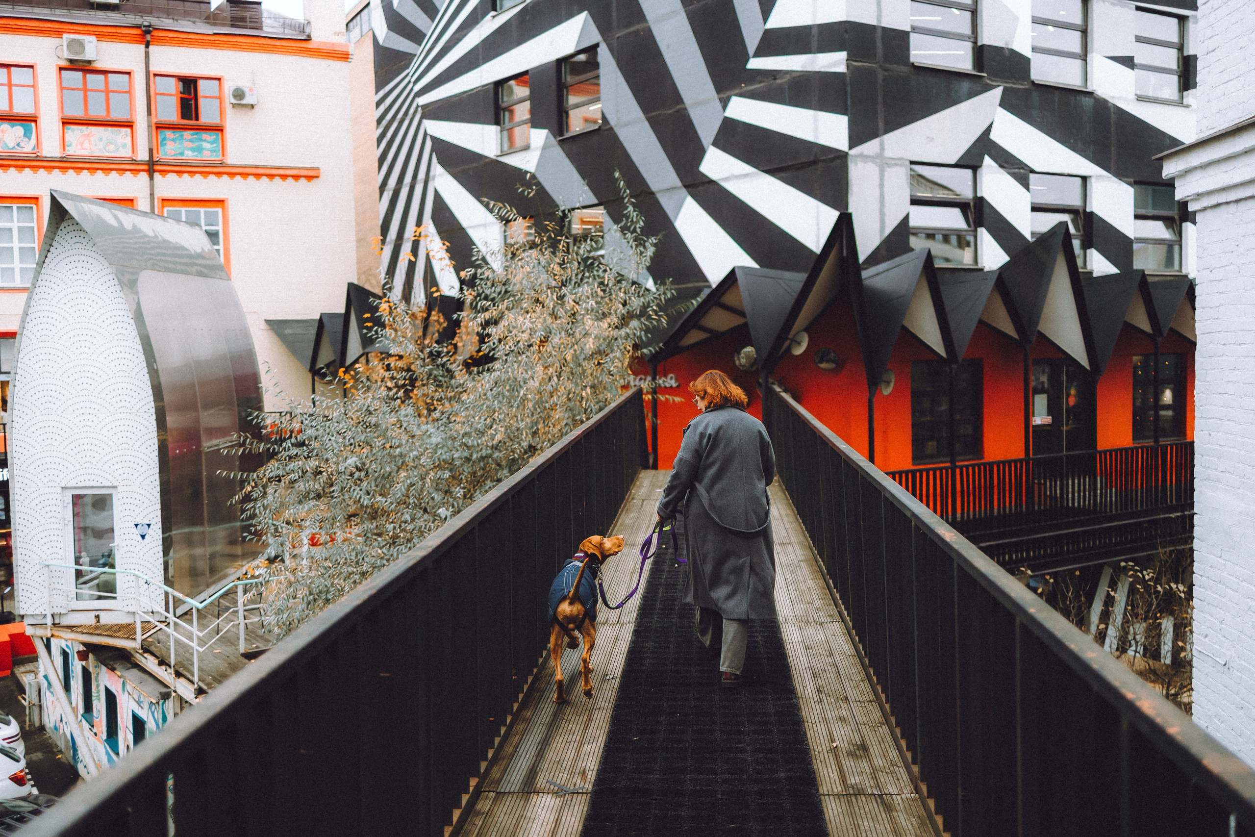 Екатерина и Даня