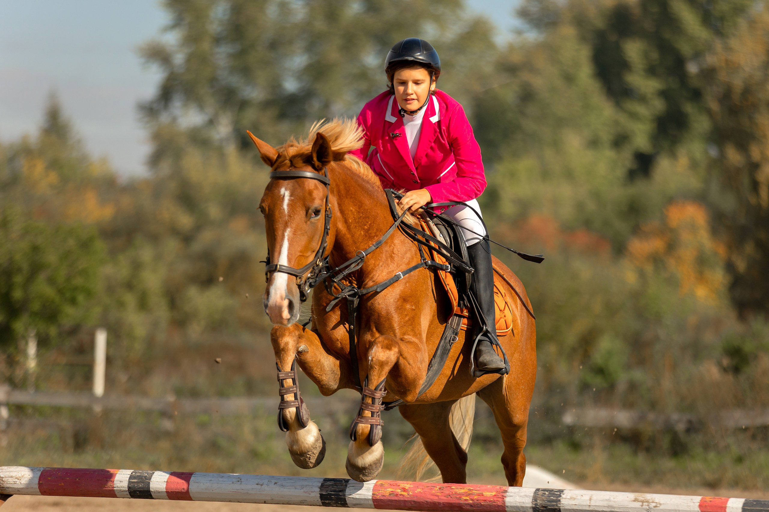 Соревнования по конному спорту. Конный фотограф Валынкина Лера