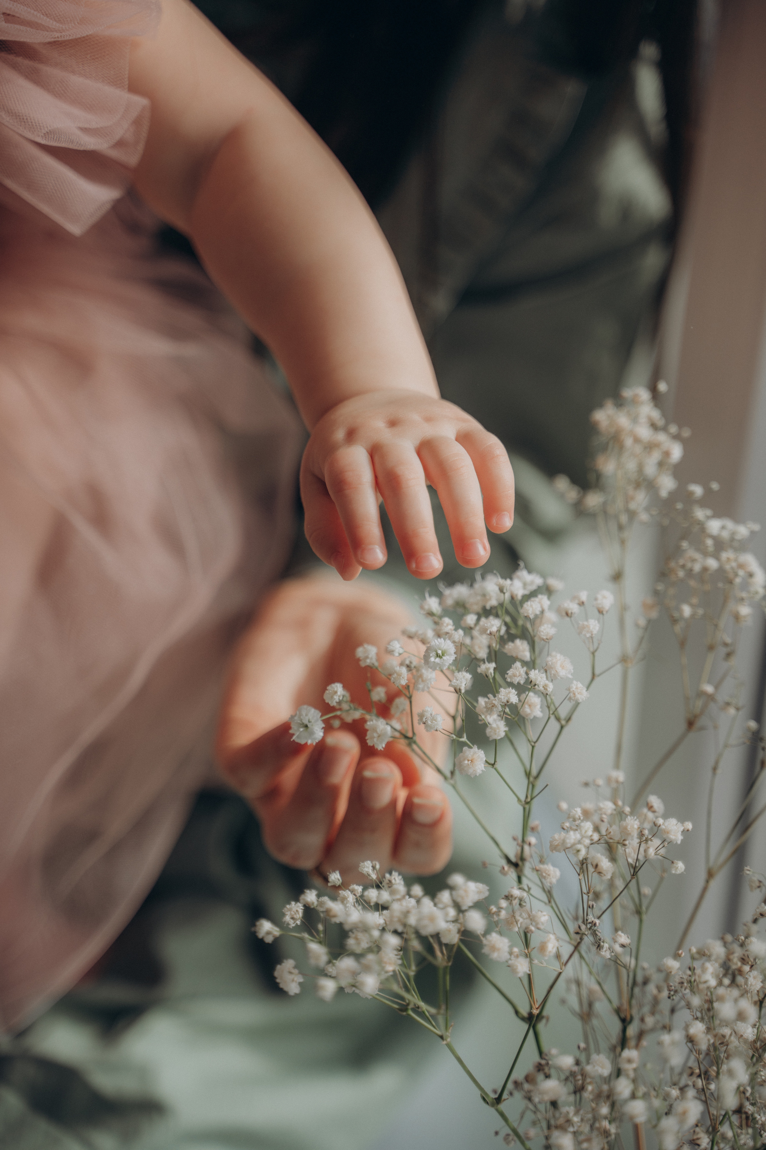 Есении годик. Свадебный и семейный фотограф Екатерина Коробова г. Моздок