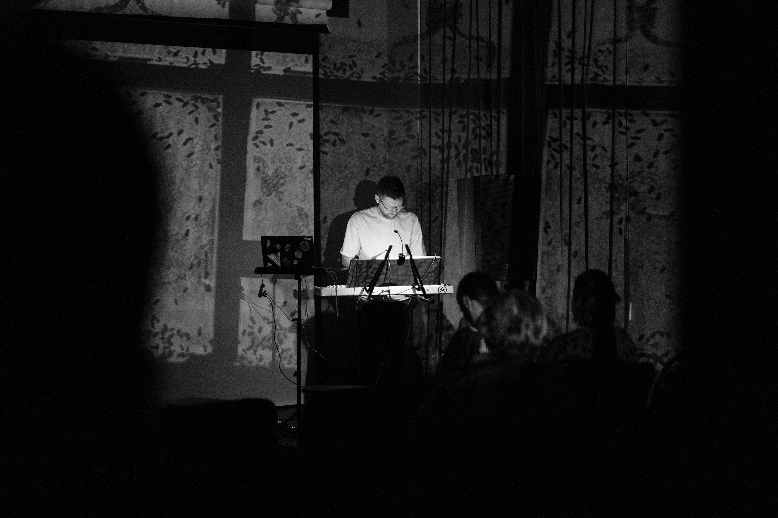 Санкт-Петербург 09.02.2025 «Фотоквартирник». Фотострелка