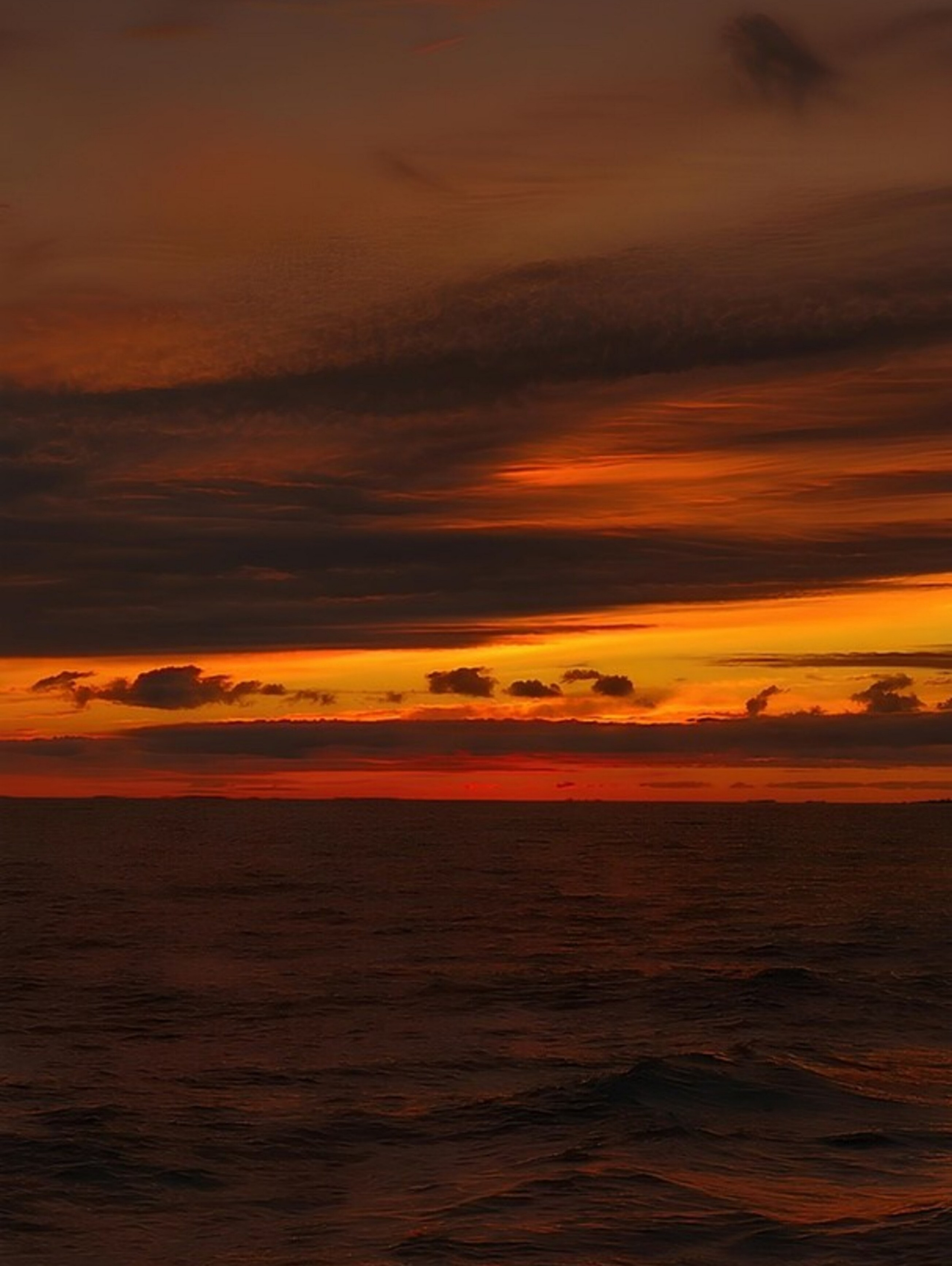 Sunset. Надежда Козлова, фотограф, Санкт — Петербург