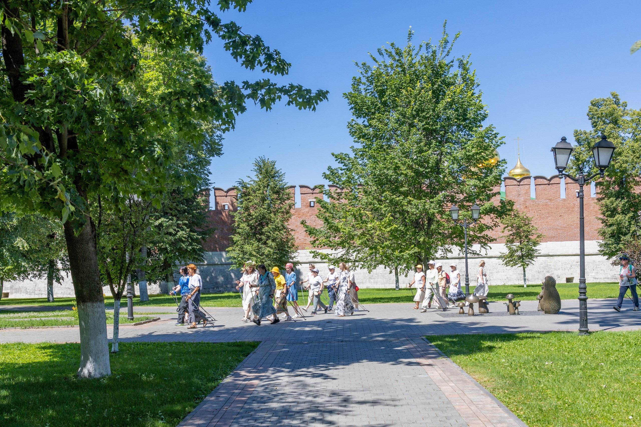 Фестиваль «Ромашковый хоровод». Северная ходьба. Фотограф в Туле Крупский АнДРей. Фотостудия «КАДР71» в Туле