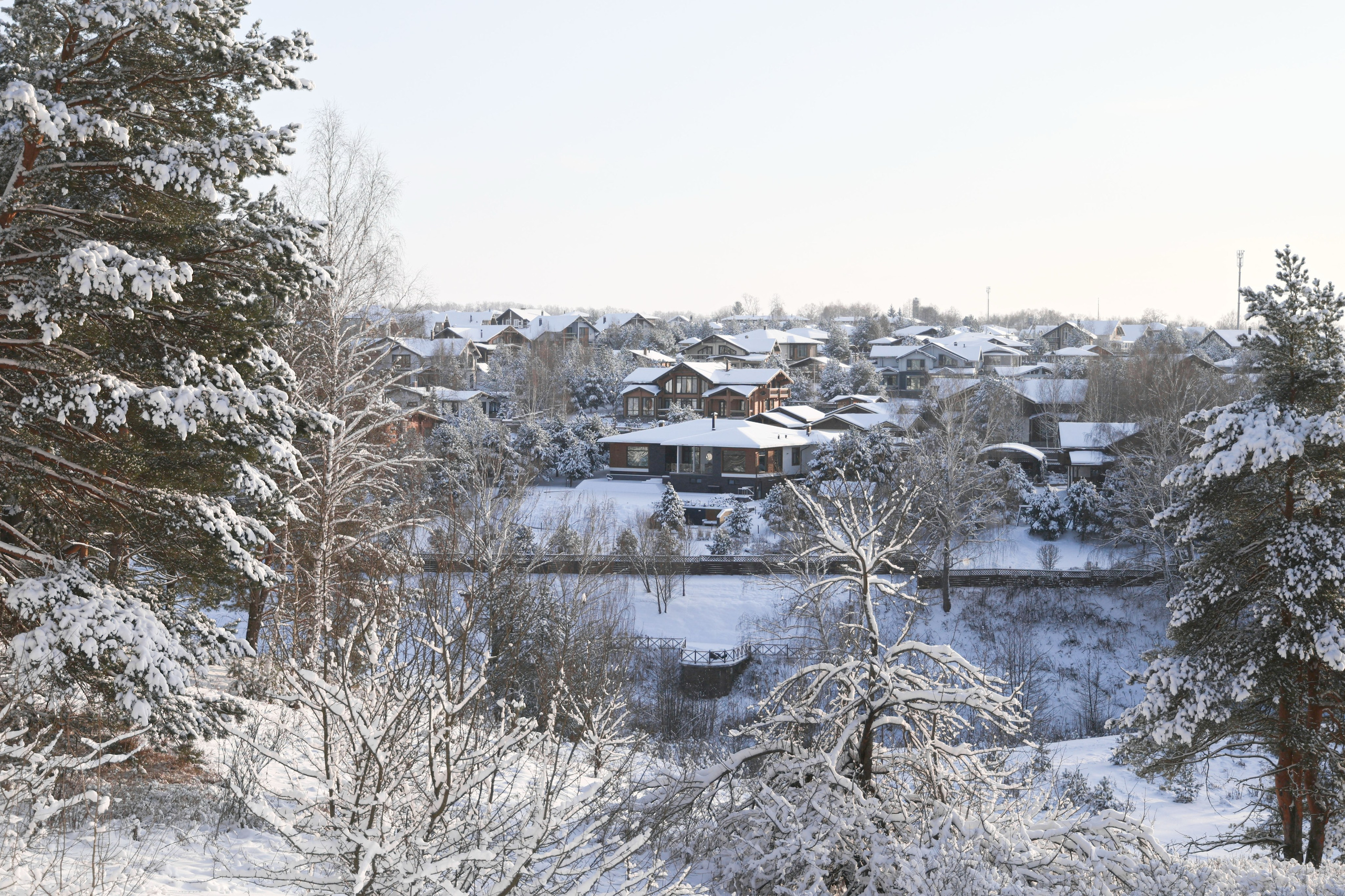 Рождествено Зима 2026. Фотограф Максим Татаринов