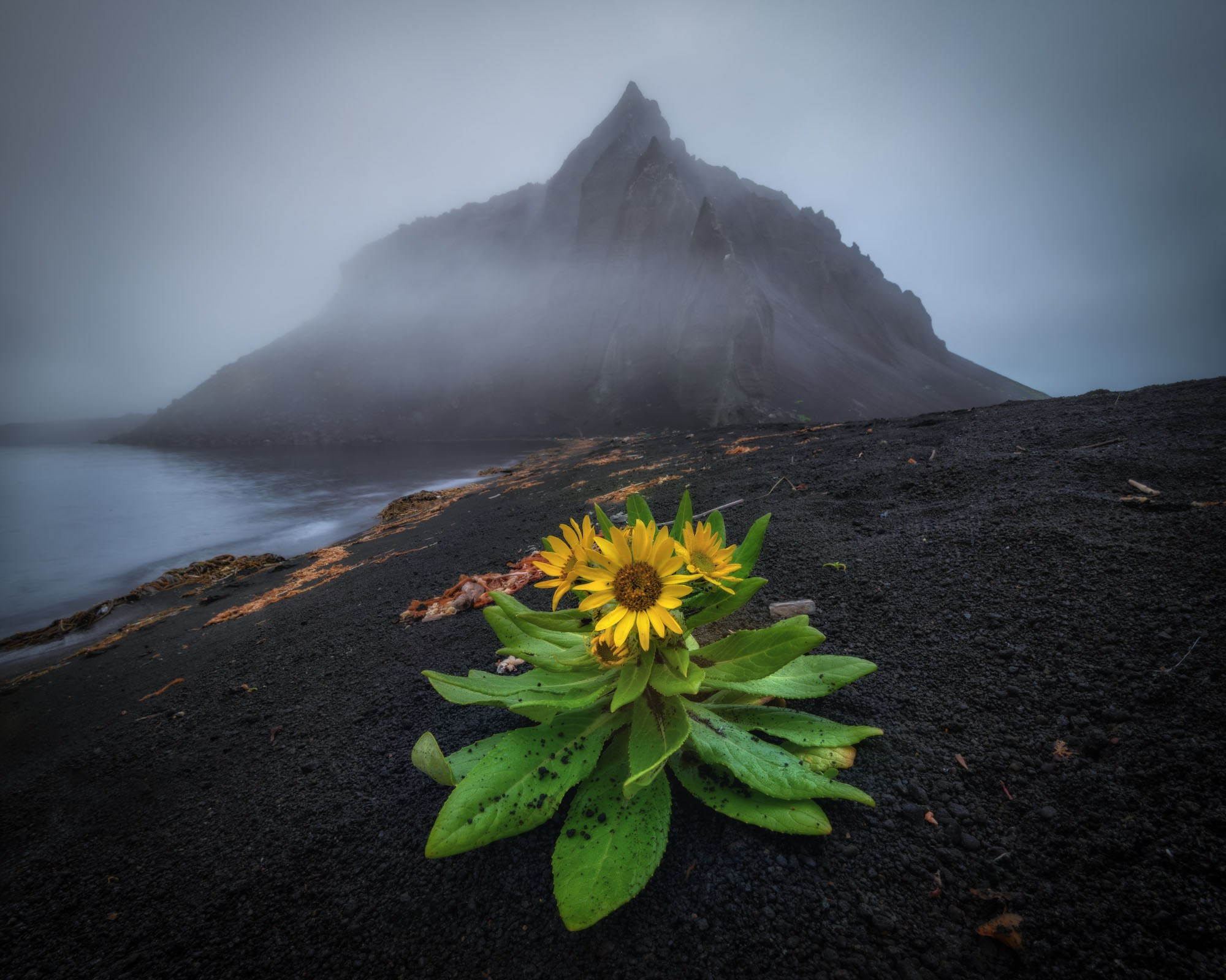 Фототур на северные Курилы 2026