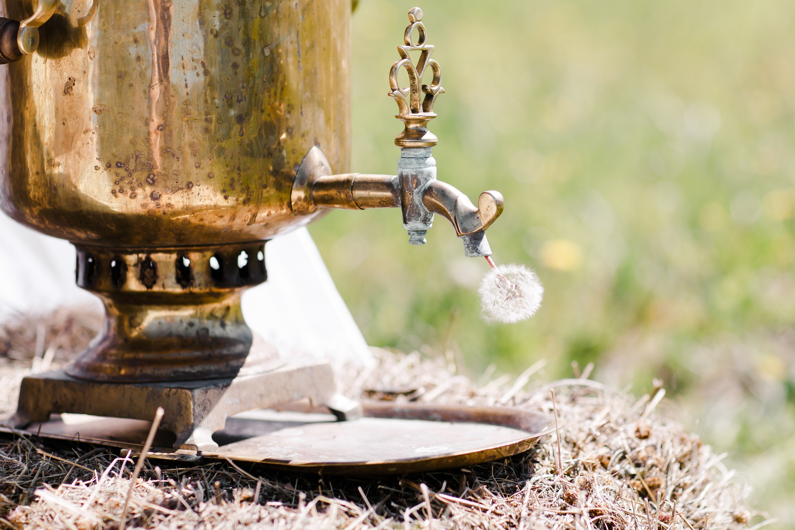 Гликерия и Дмитрий|Ранчо. Свадебный фотограф Серпухов — Москва Ольга Васильева