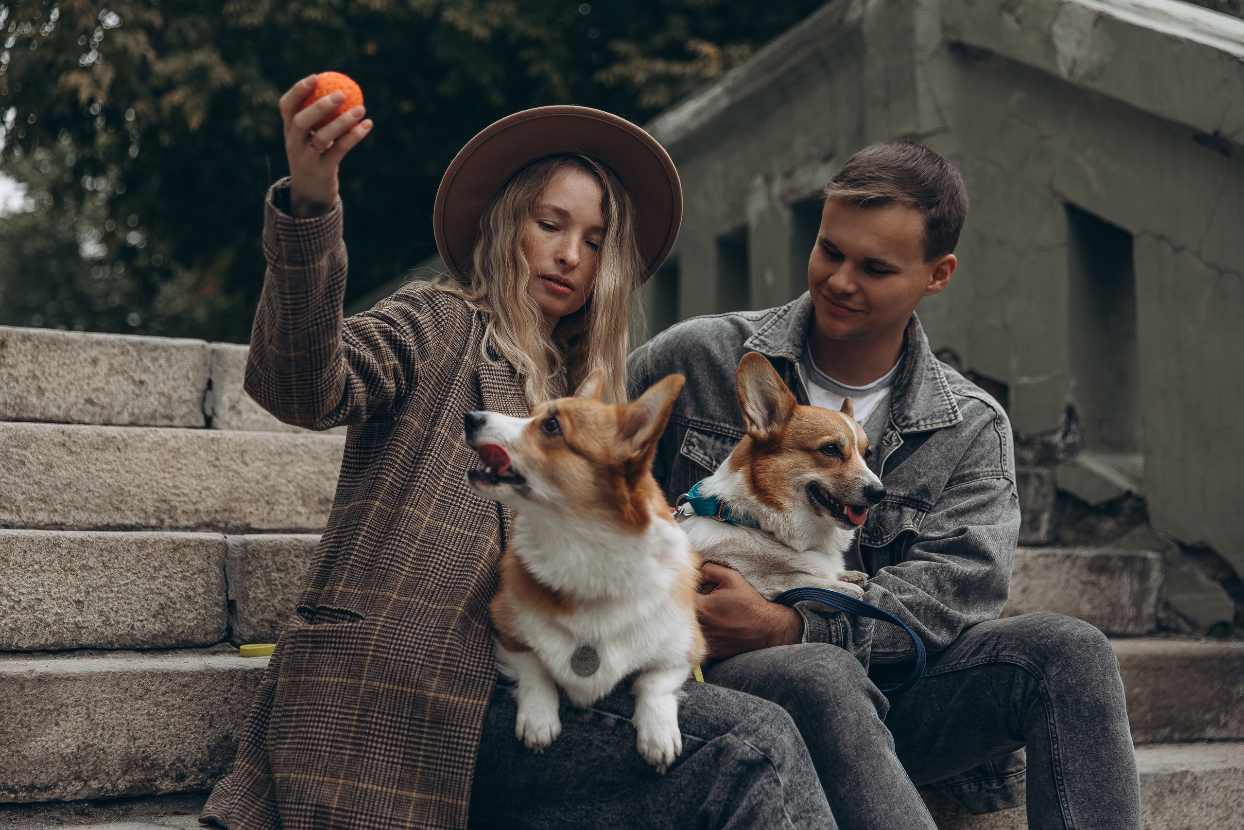 «Королевский Корги» 2. Фотограф Алина Ионычева в Новосибирске