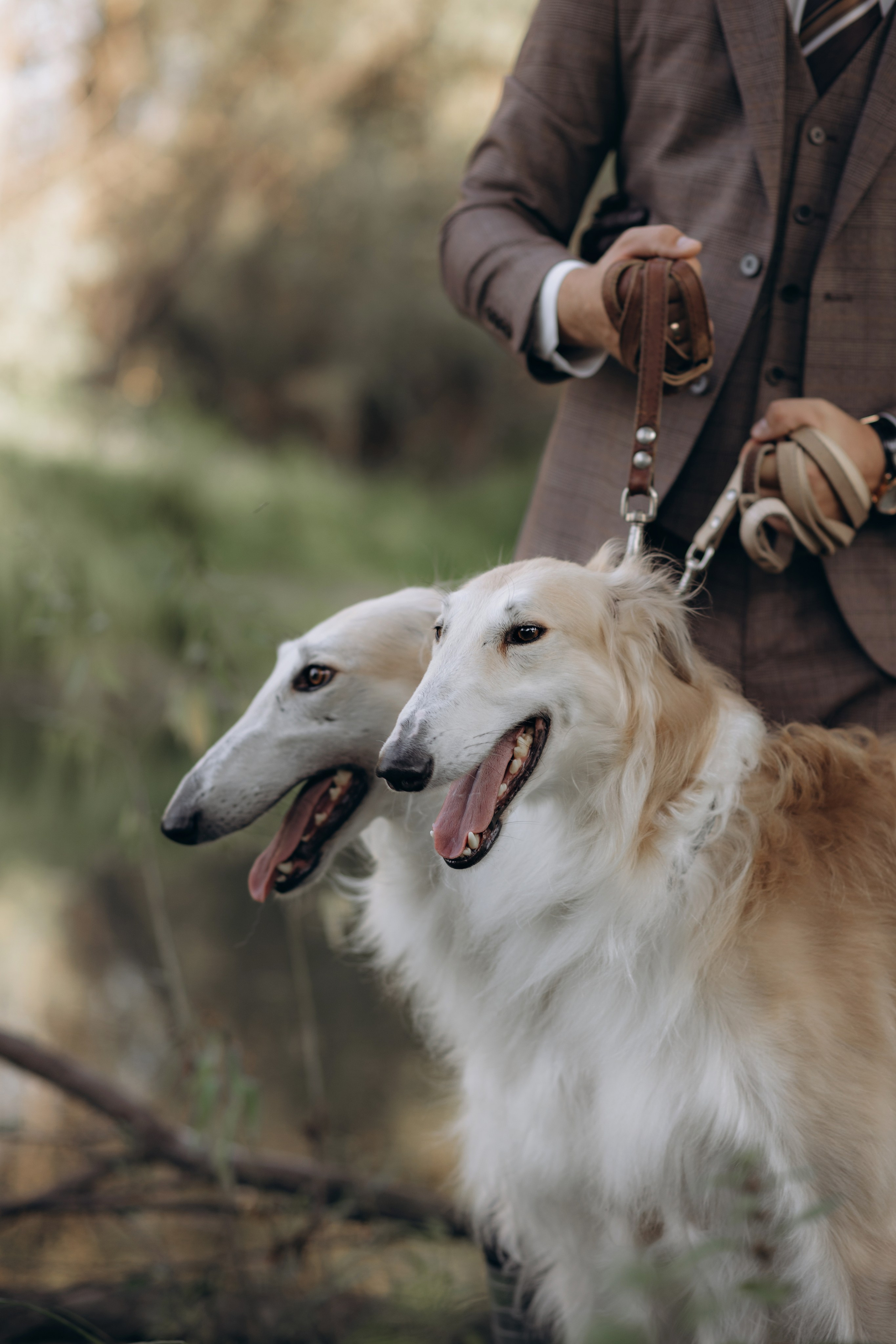 Прогулка в английском стиле. Фотограф Алина Ионычева в Новосибирске