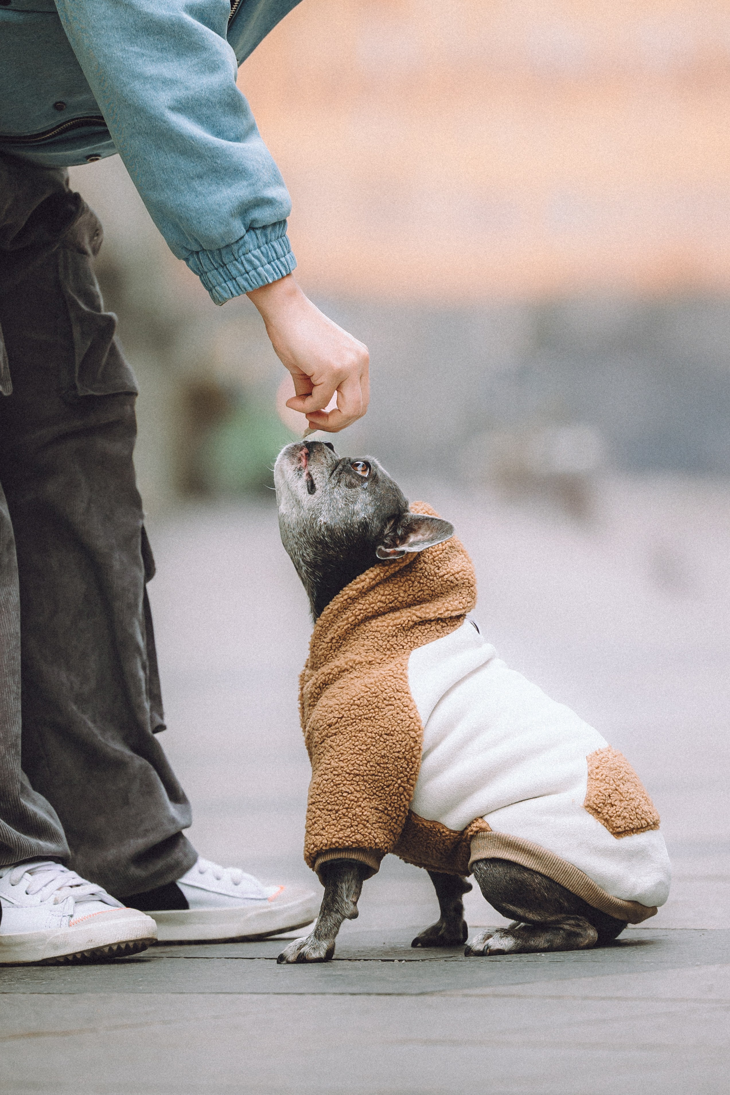 Юля, Вова и Моня