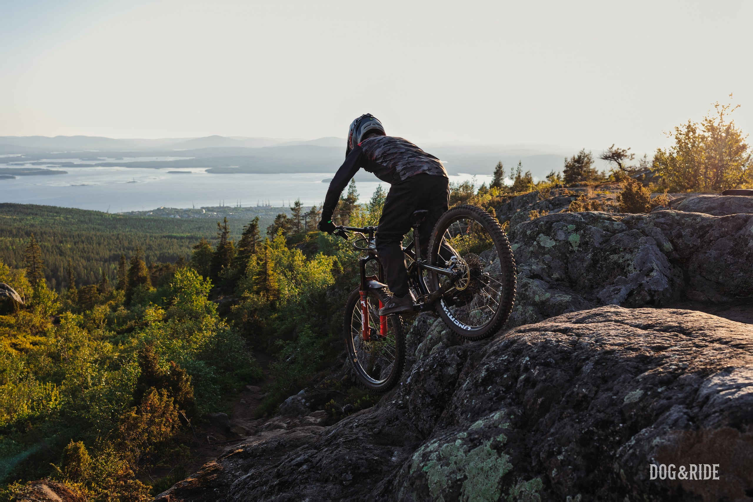 Кандалакшка. Фотограф анималист Никита Натальный