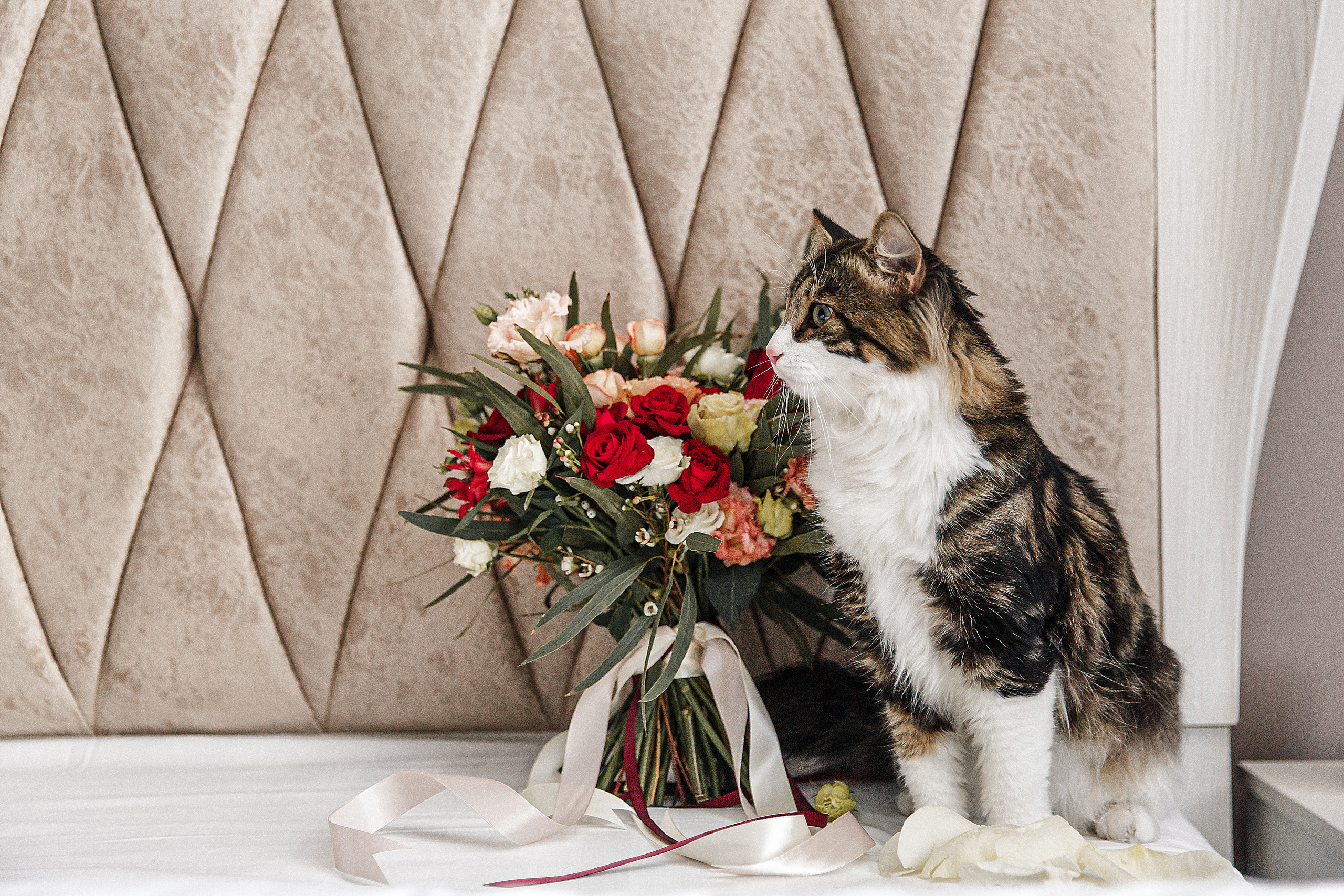 Валерия и Алексей. Свадебный и семейный фотограф  во Владивостоке Ольга Украинец