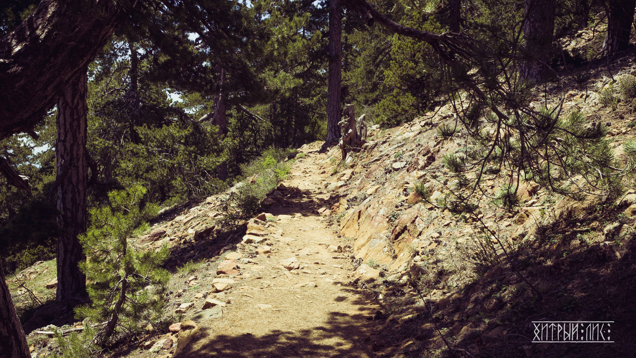 Кипр. Фотограф-путешественник Самойлов Максим «Sly Fox»